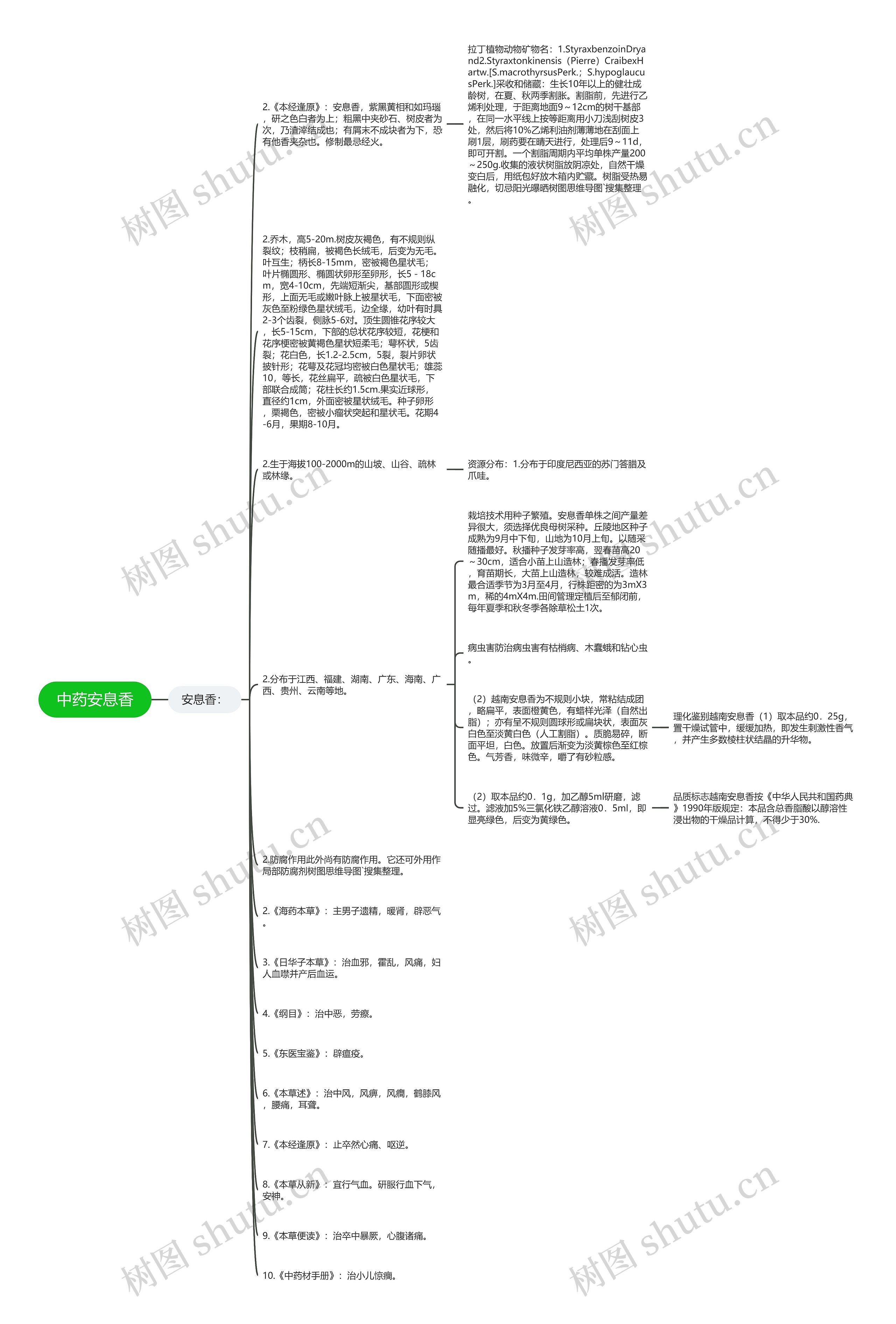 中药安息香思维导图