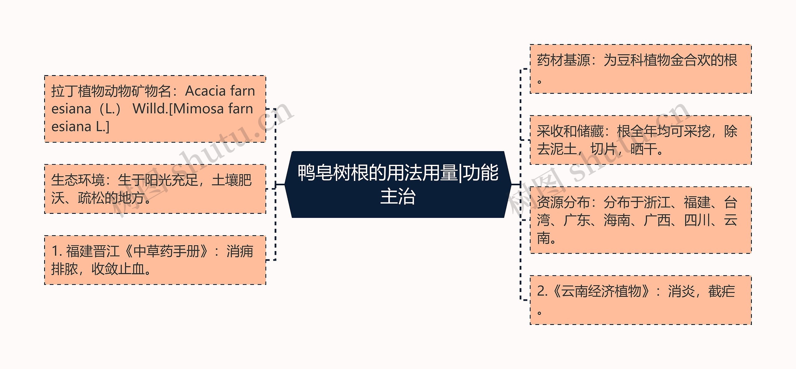 鸭皂树根的用法用量|功能主治