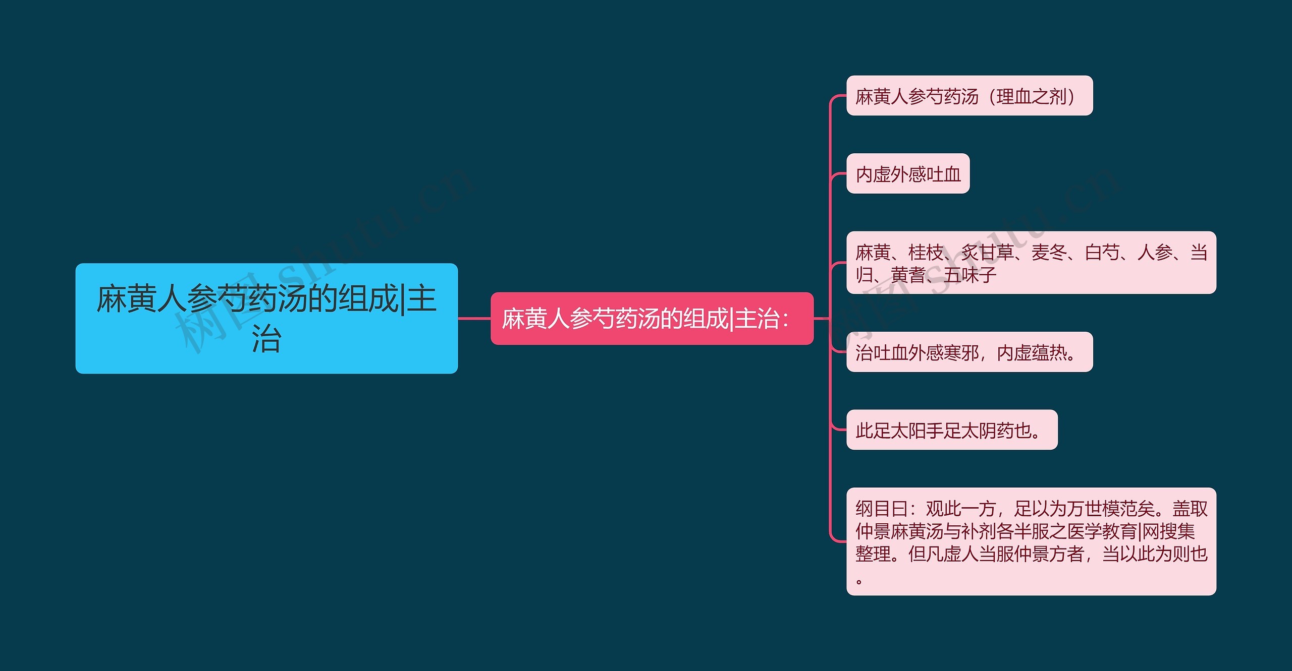 麻黄人参芍药汤的组成|主治思维导图