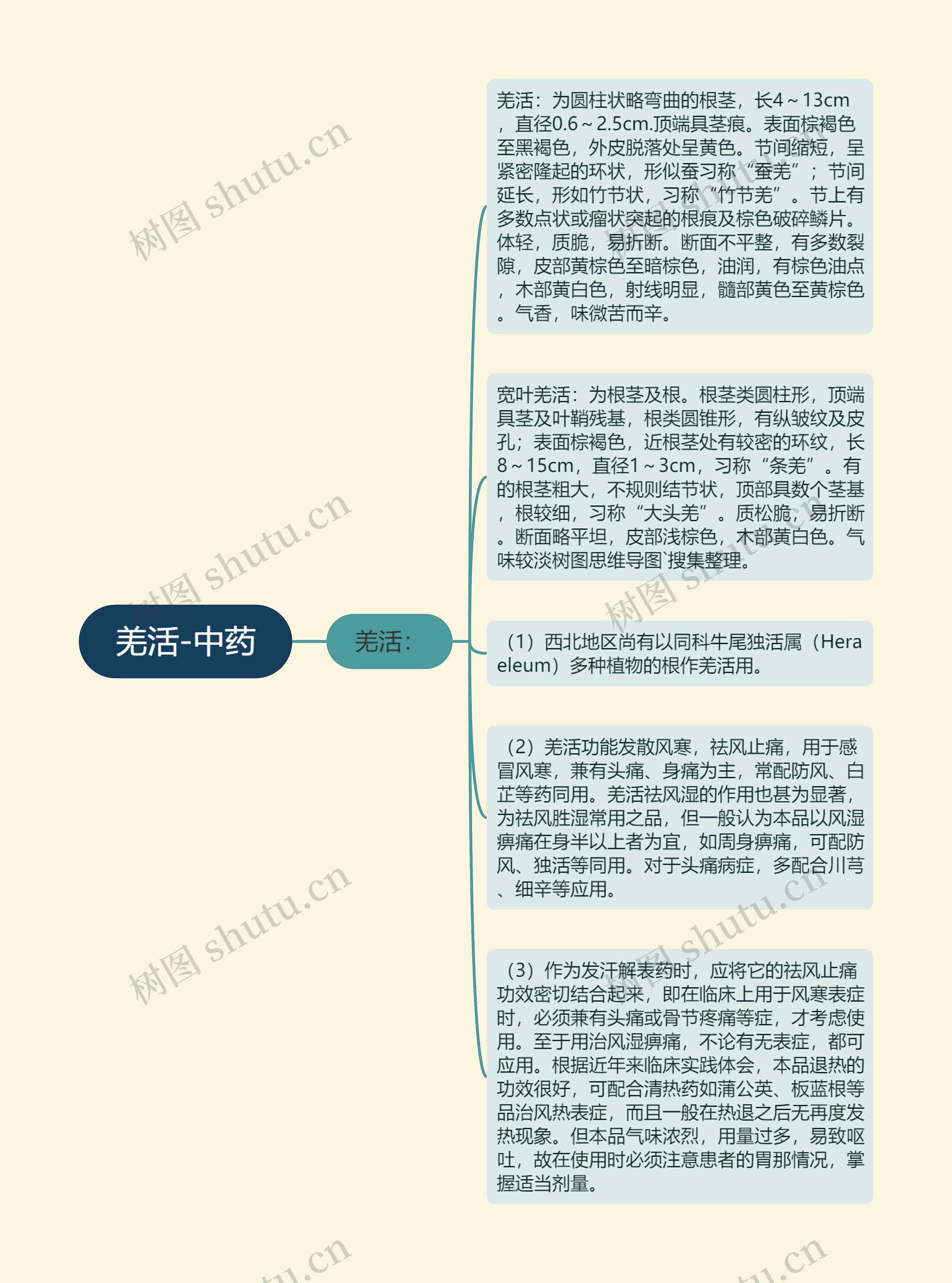 羌活-中药思维导图