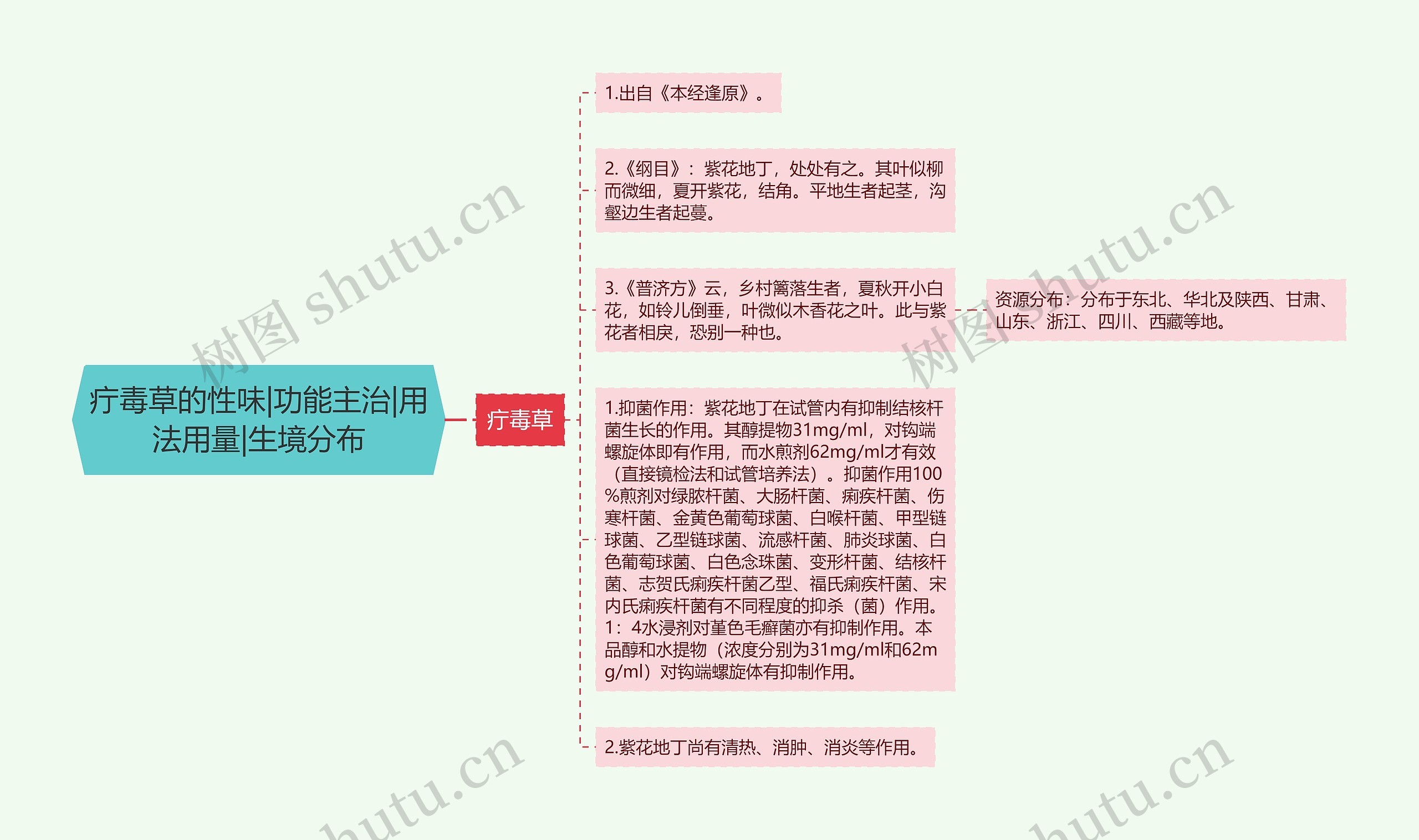 疔毒草的性味|功能主治|用法用量|生境分布思维导图