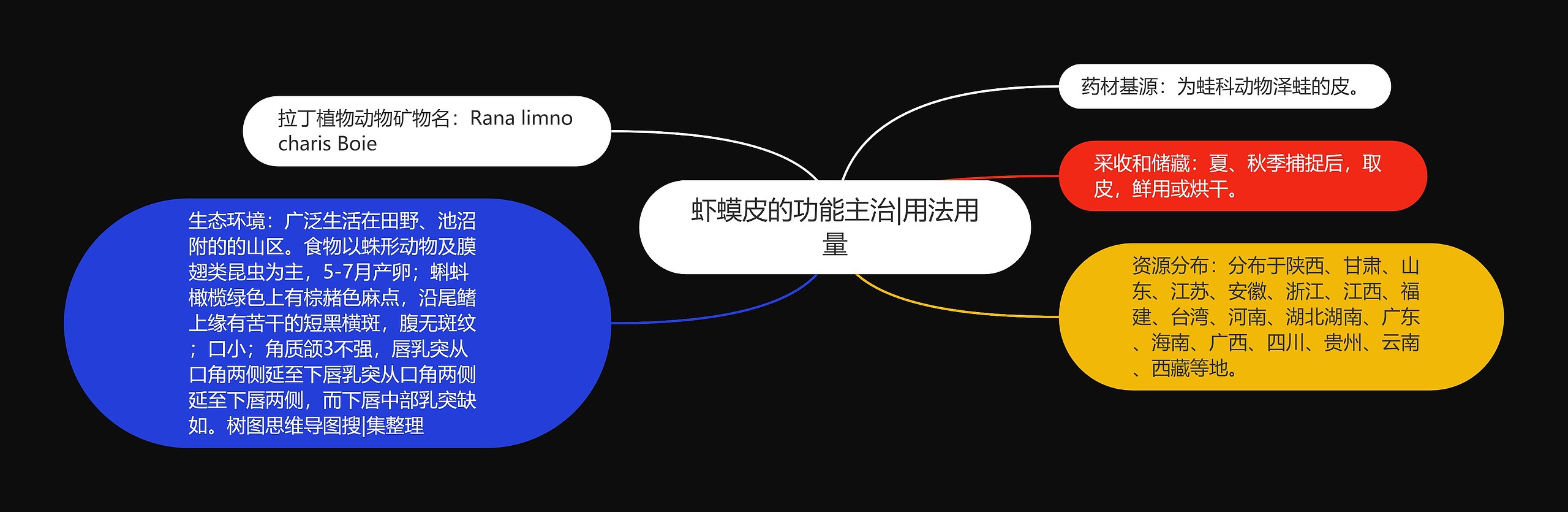 虾蟆皮的功能主治|用法用量思维导图