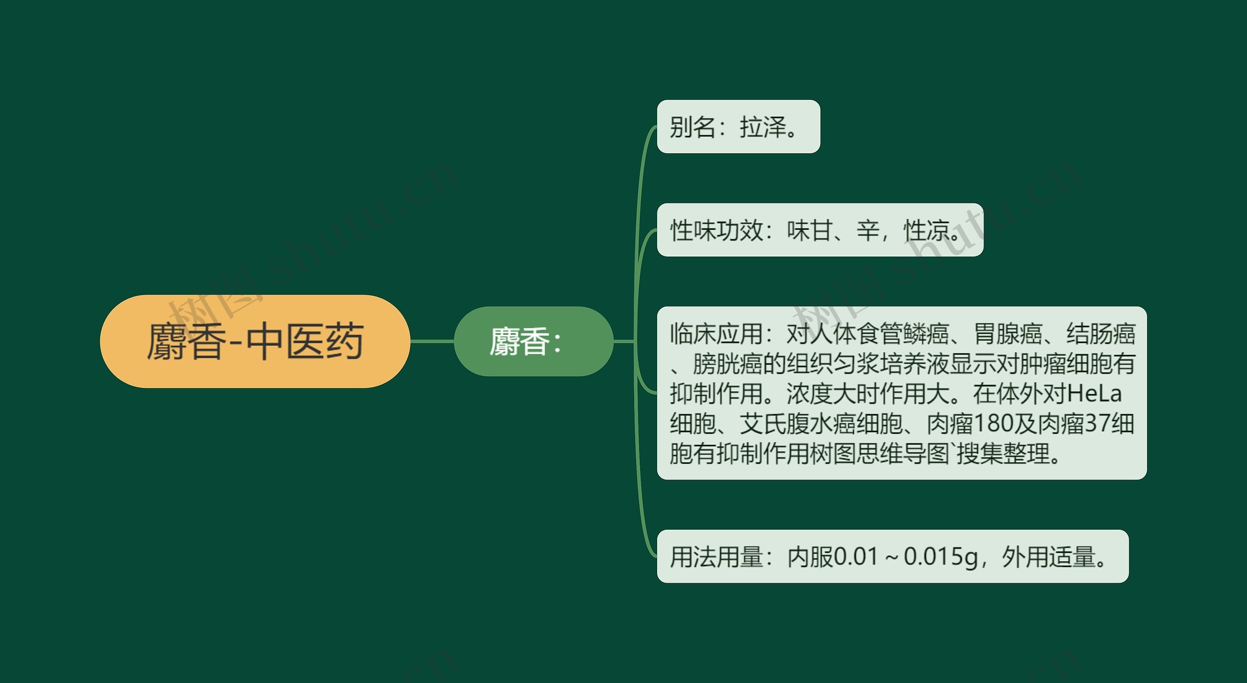 麝香-中医药 麝香-中医药