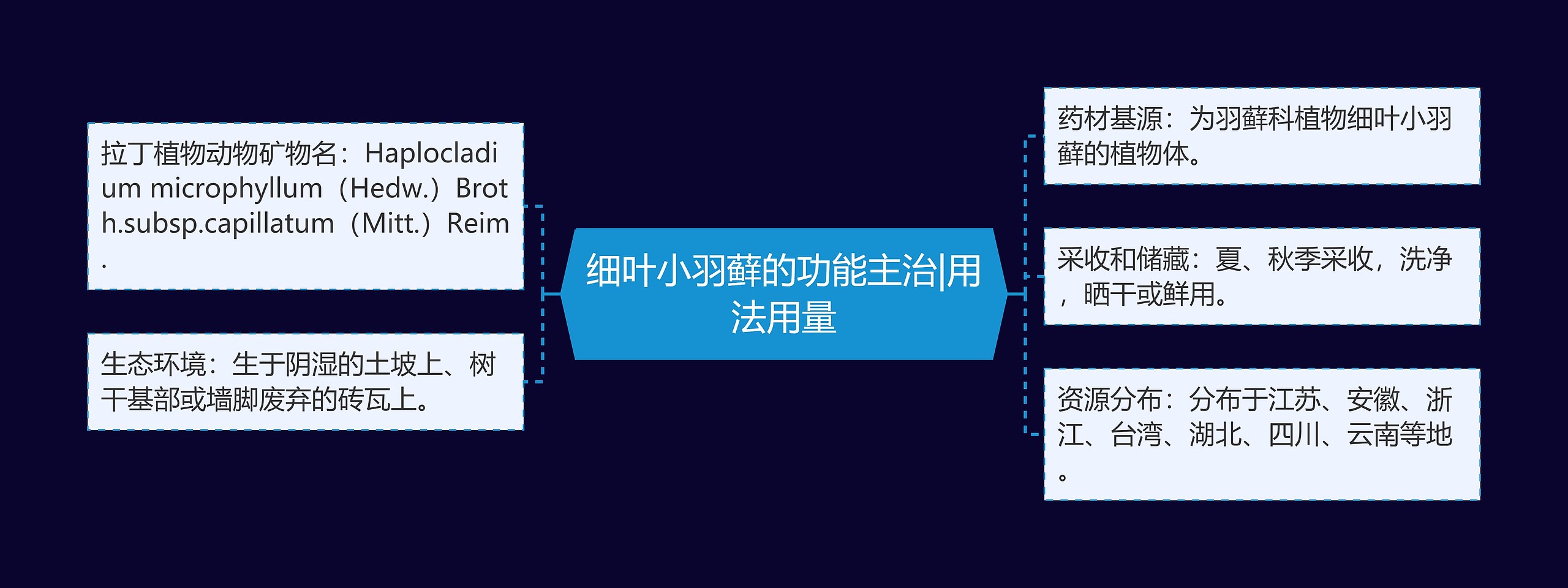 细叶小羽藓的功能主治|用法用量思维导图