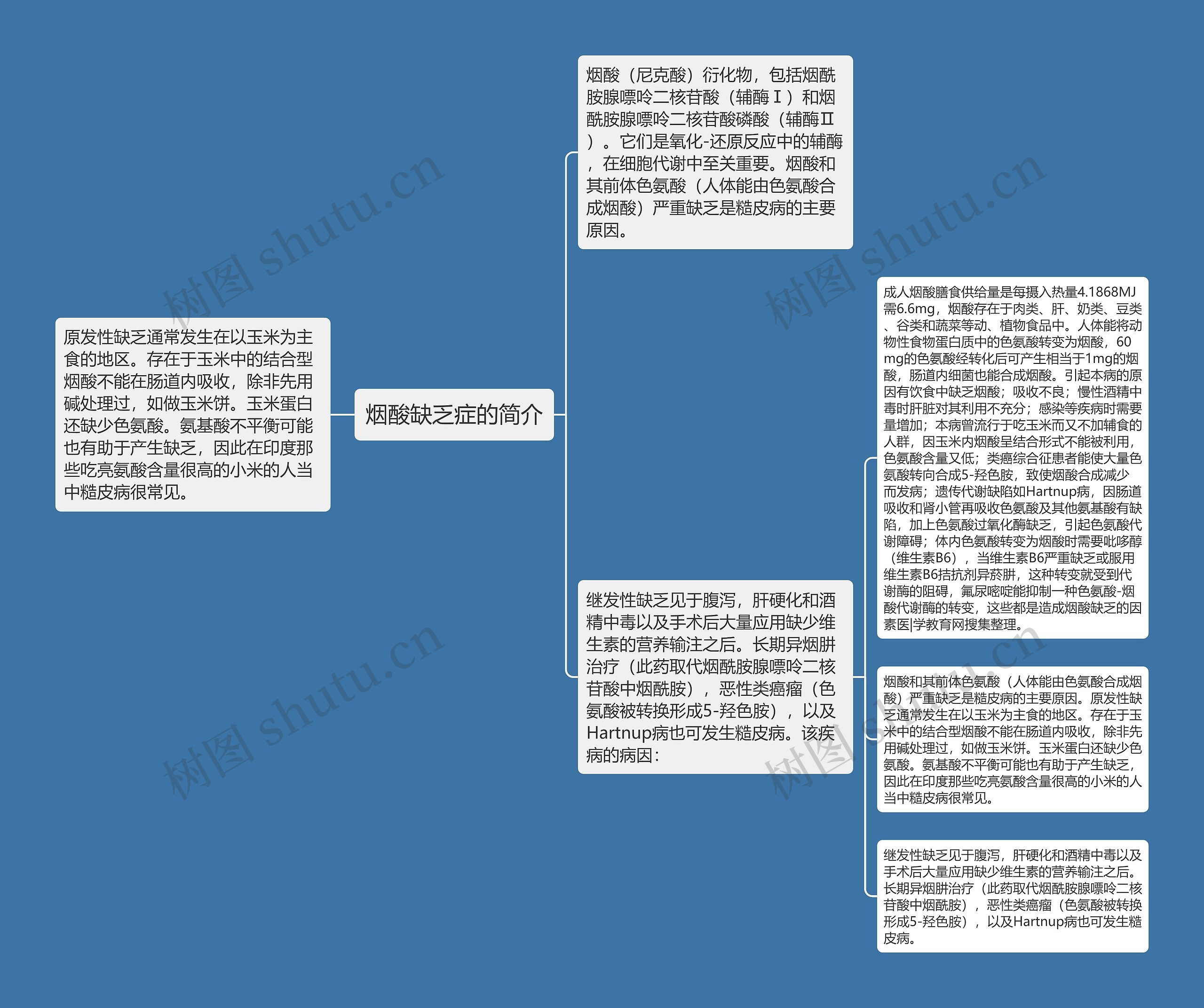 烟酸缺乏症的简介思维导图