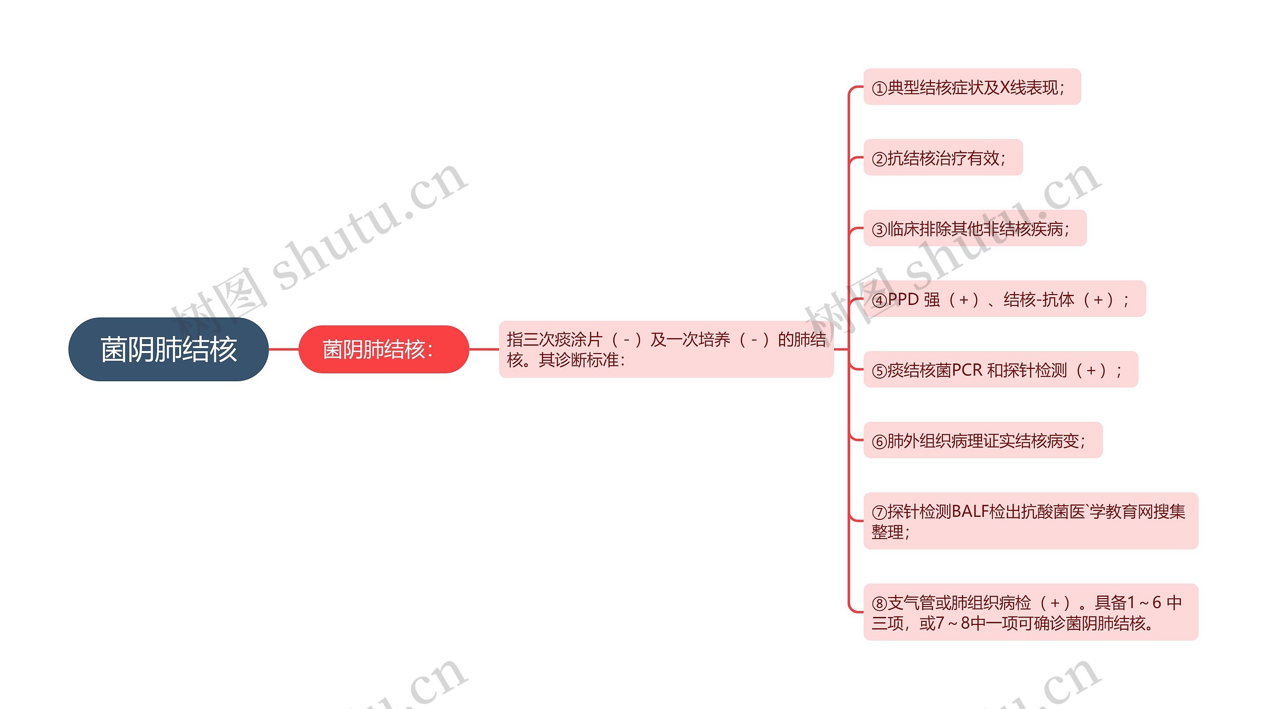 菌阴肺结核思维导图