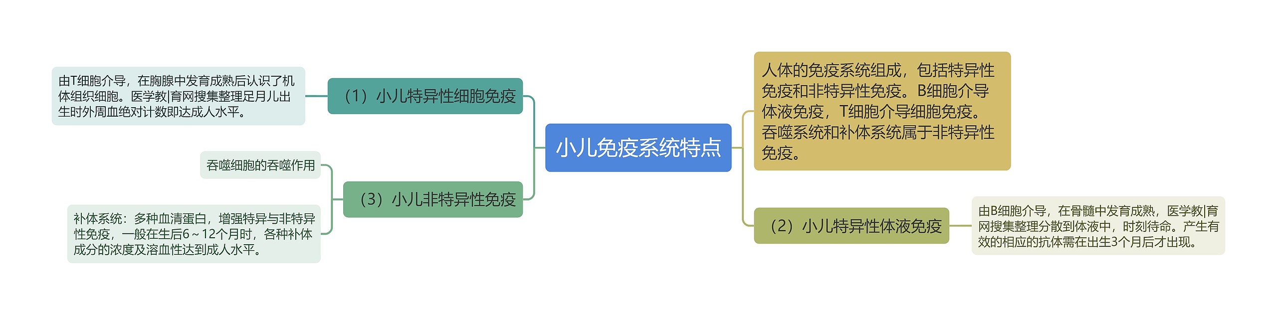 小儿免疫系统特点