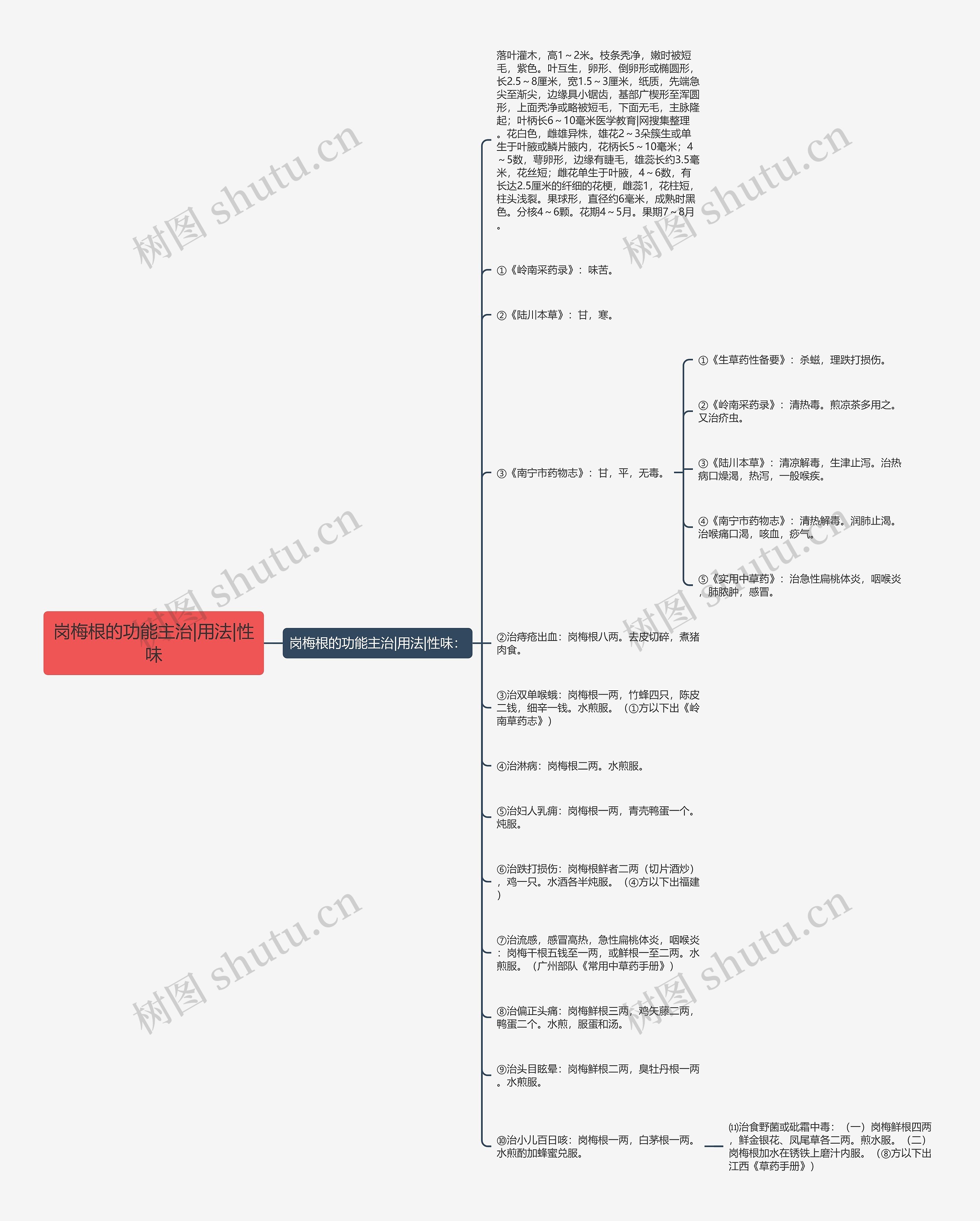 岗梅根的功能主治|用法|性味思维导图