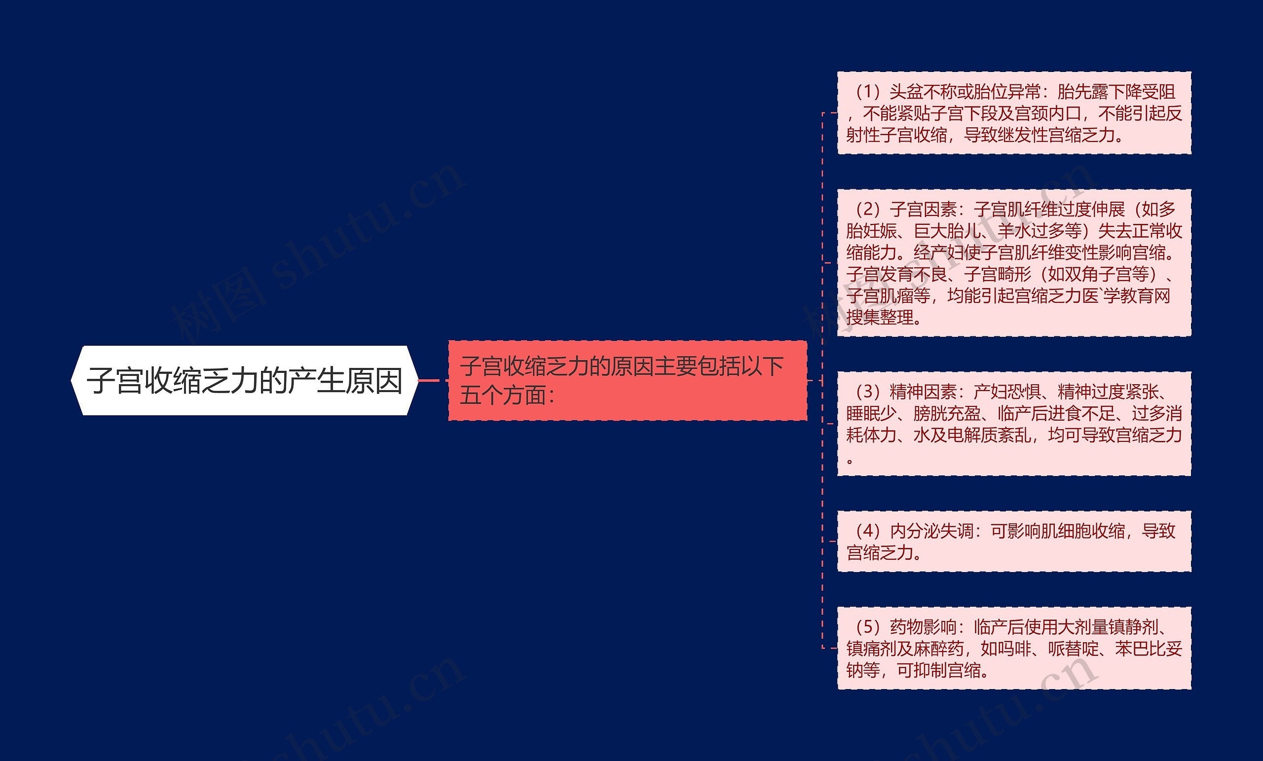 子宫收缩乏力的产生原因思维导图