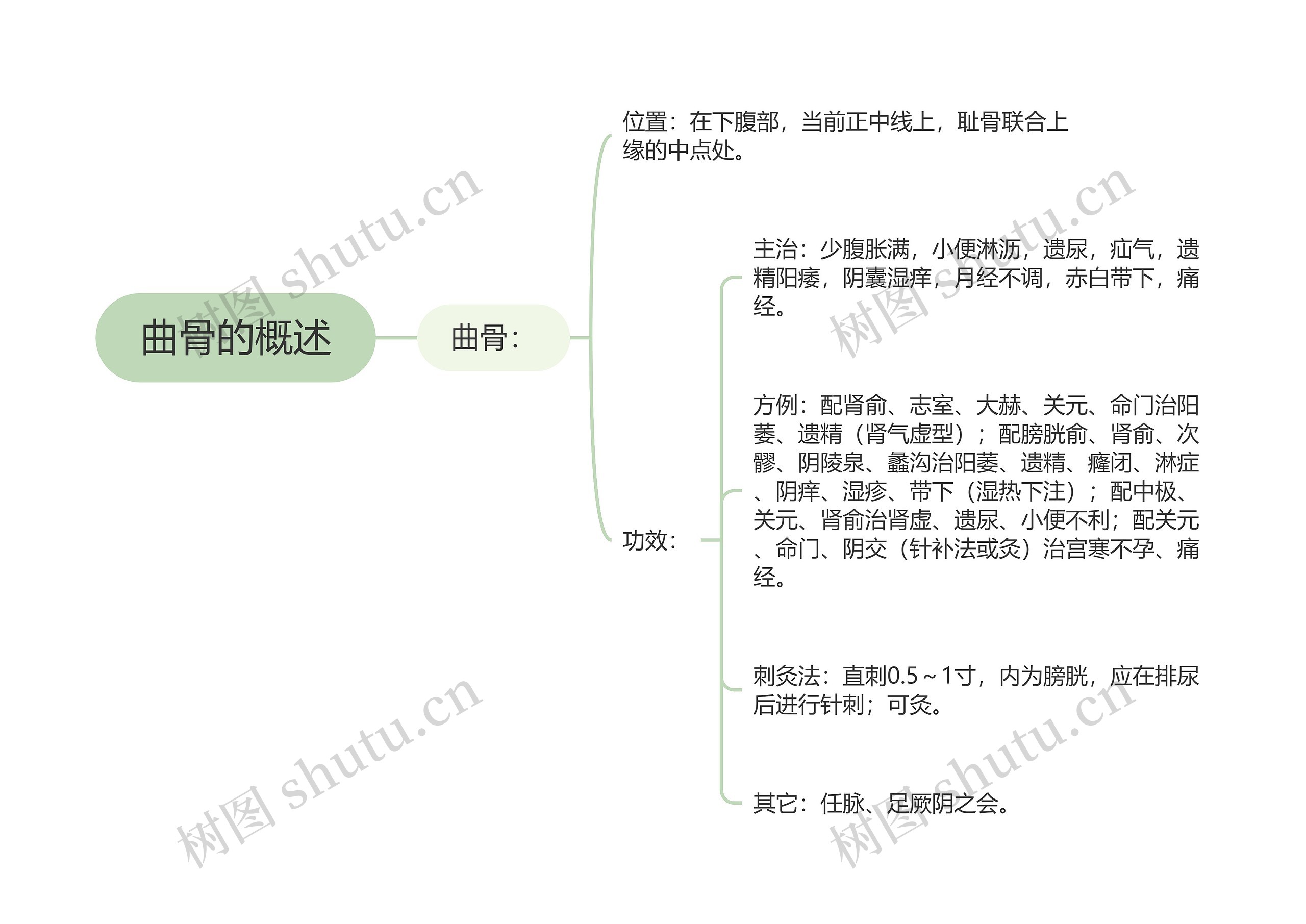 曲骨的概述思维导图