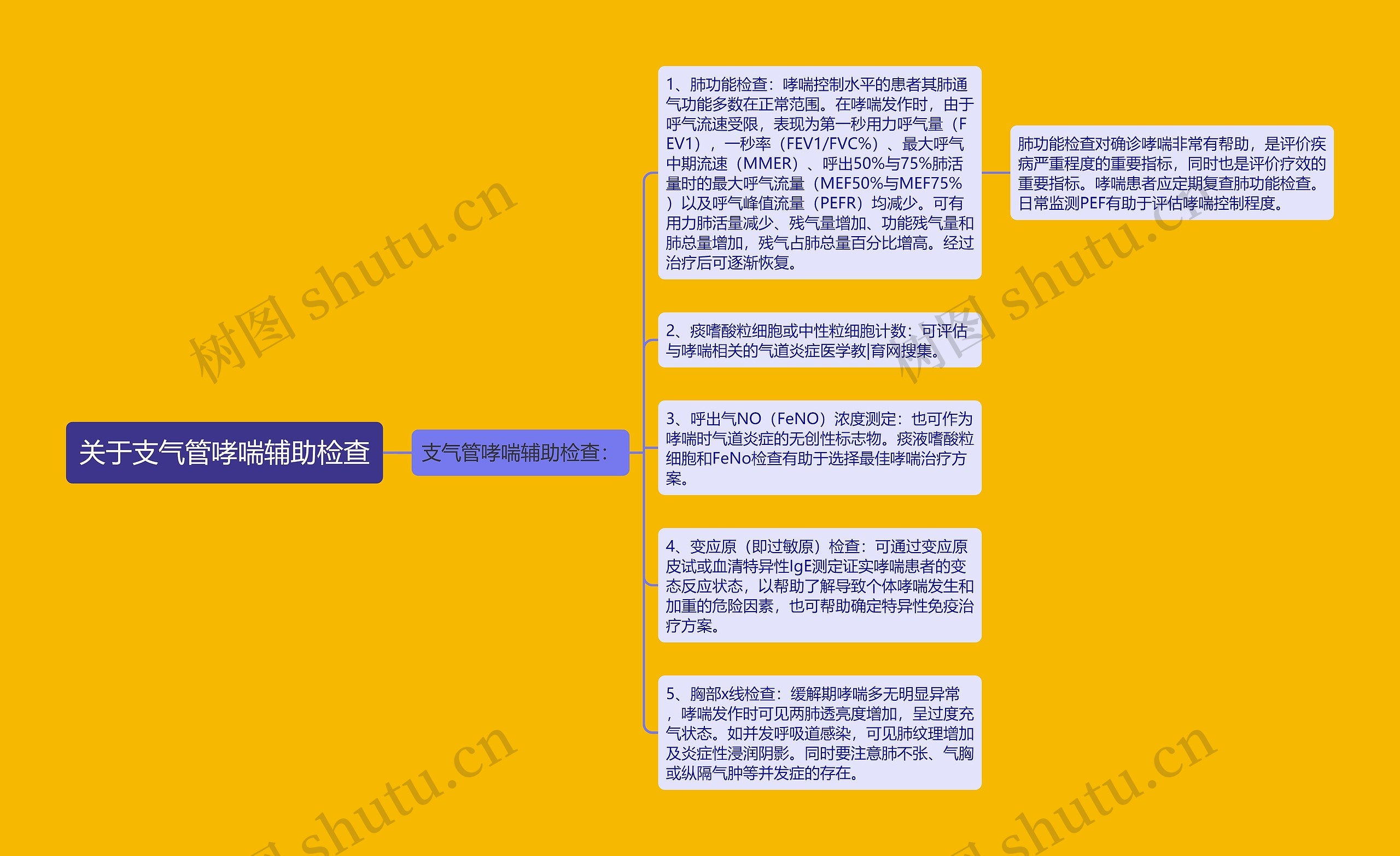 关于支气管哮喘辅助检查思维导图