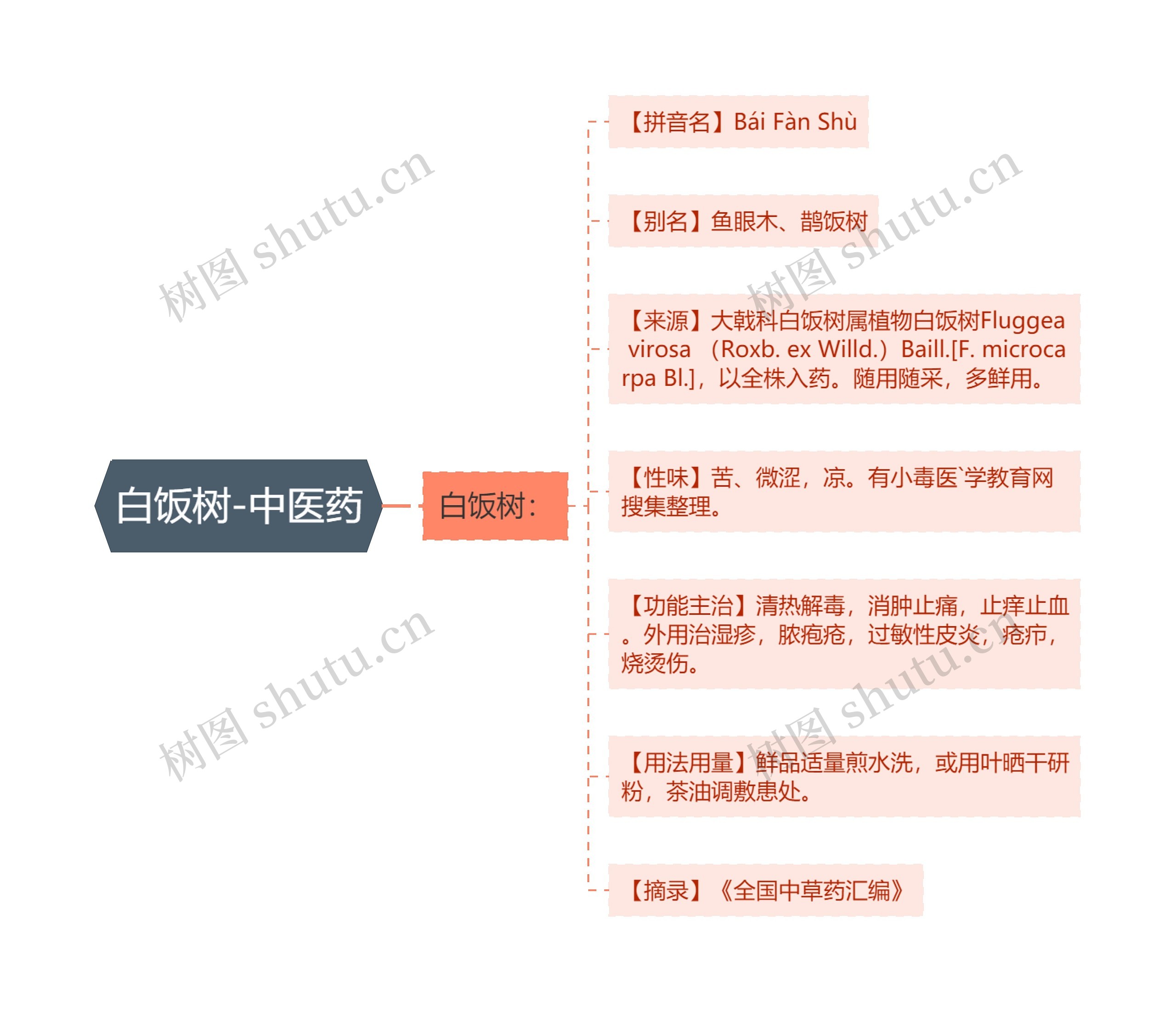 白饭树-中医药思维导图