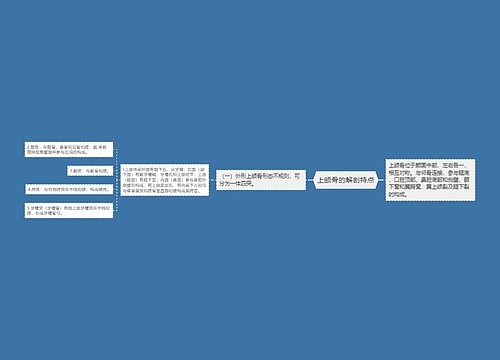 上颌骨的解剖特点