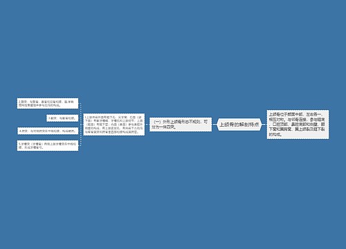 上颌骨的解剖特点