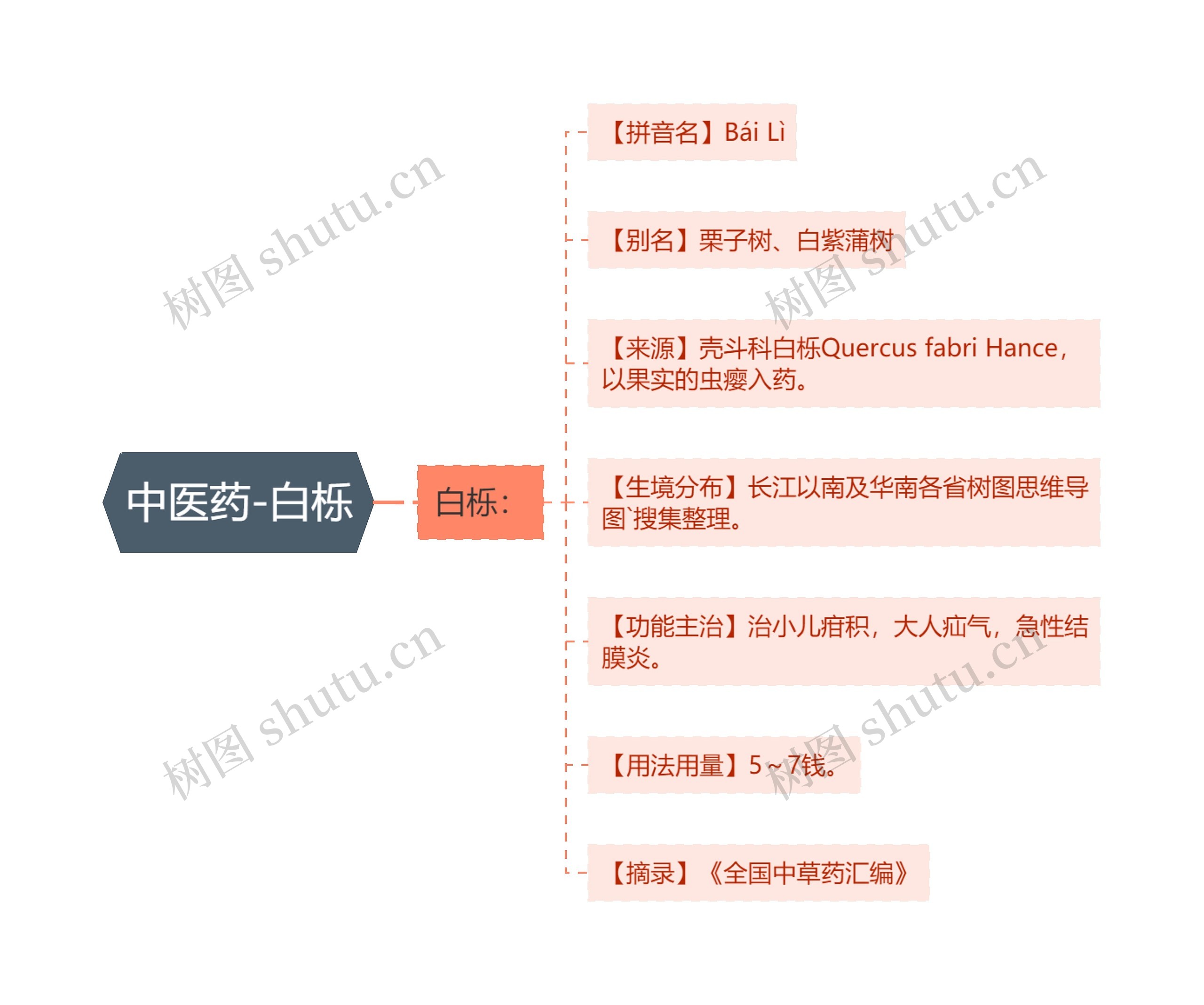 中医药-白栎思维导图