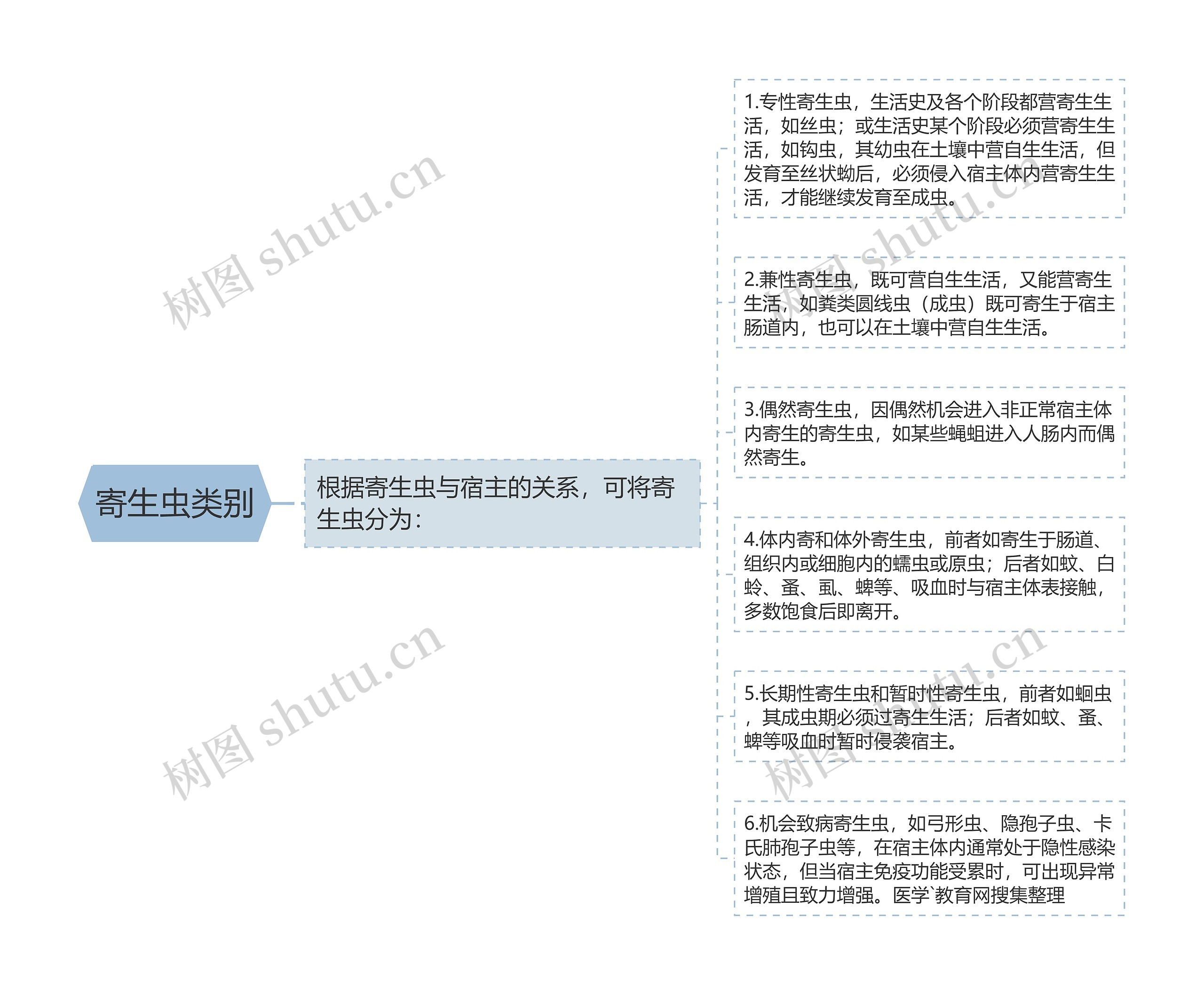 寄生虫类别思维导图