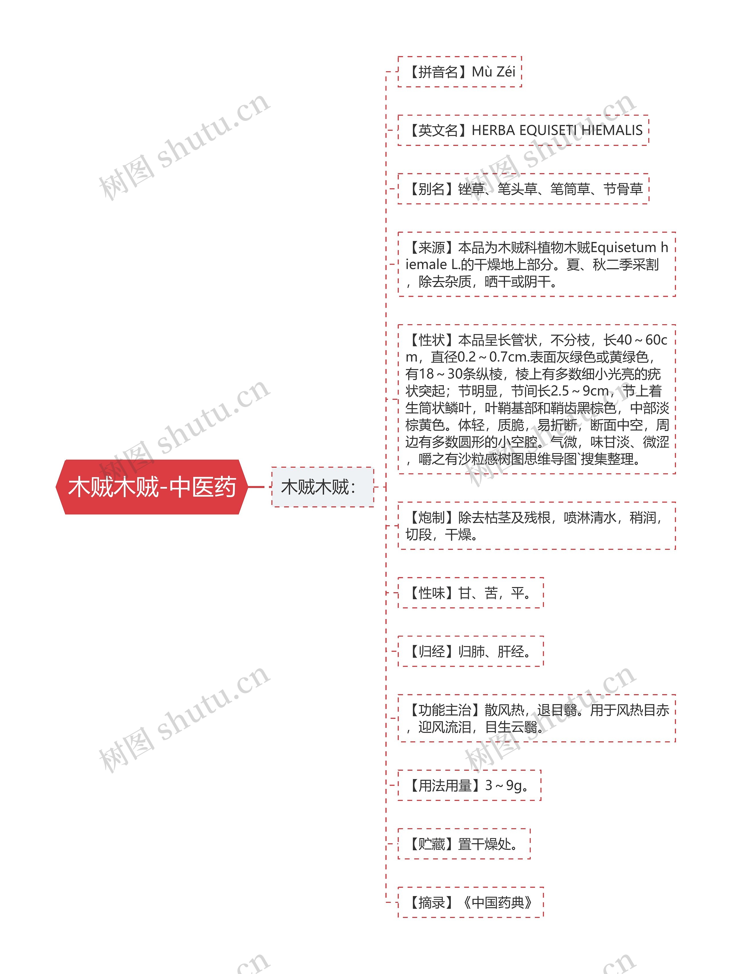 木贼木贼-中医药思维导图