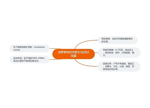 田野卷耳的功能主治|用法用量