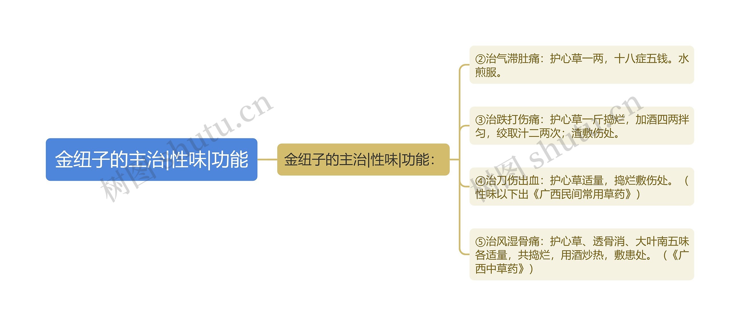 金纽子的主治|性味|功能思维导图