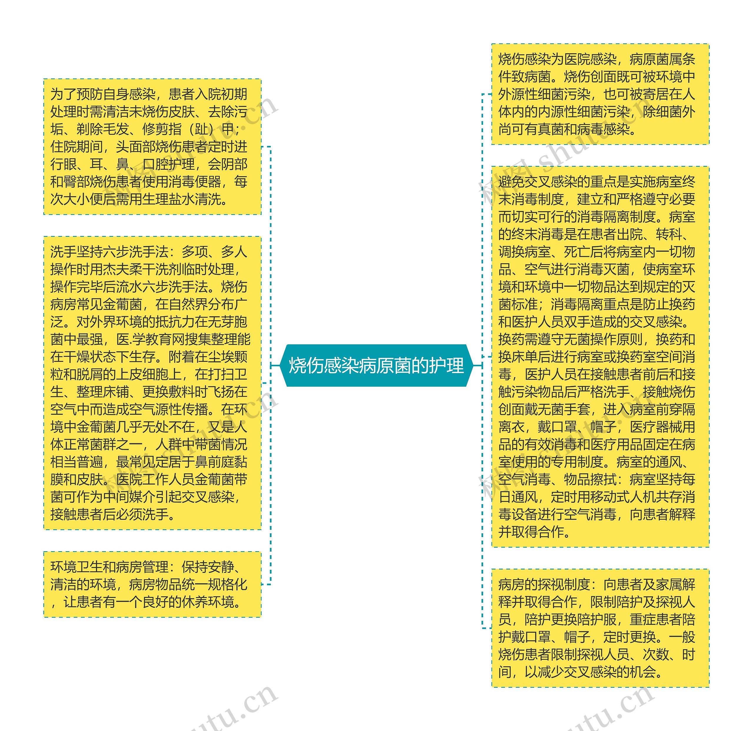 烧伤感染病原菌的护理思维导图