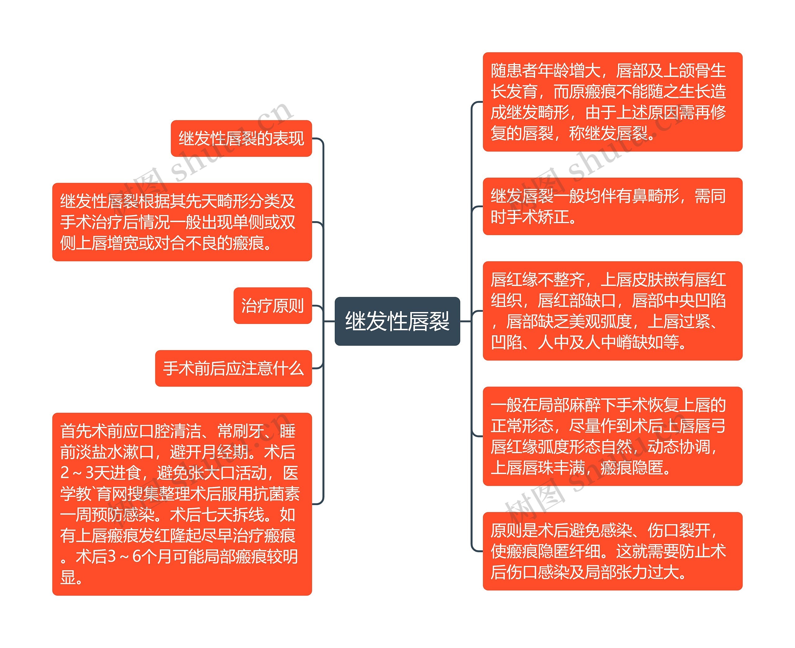 继发性唇裂思维导图