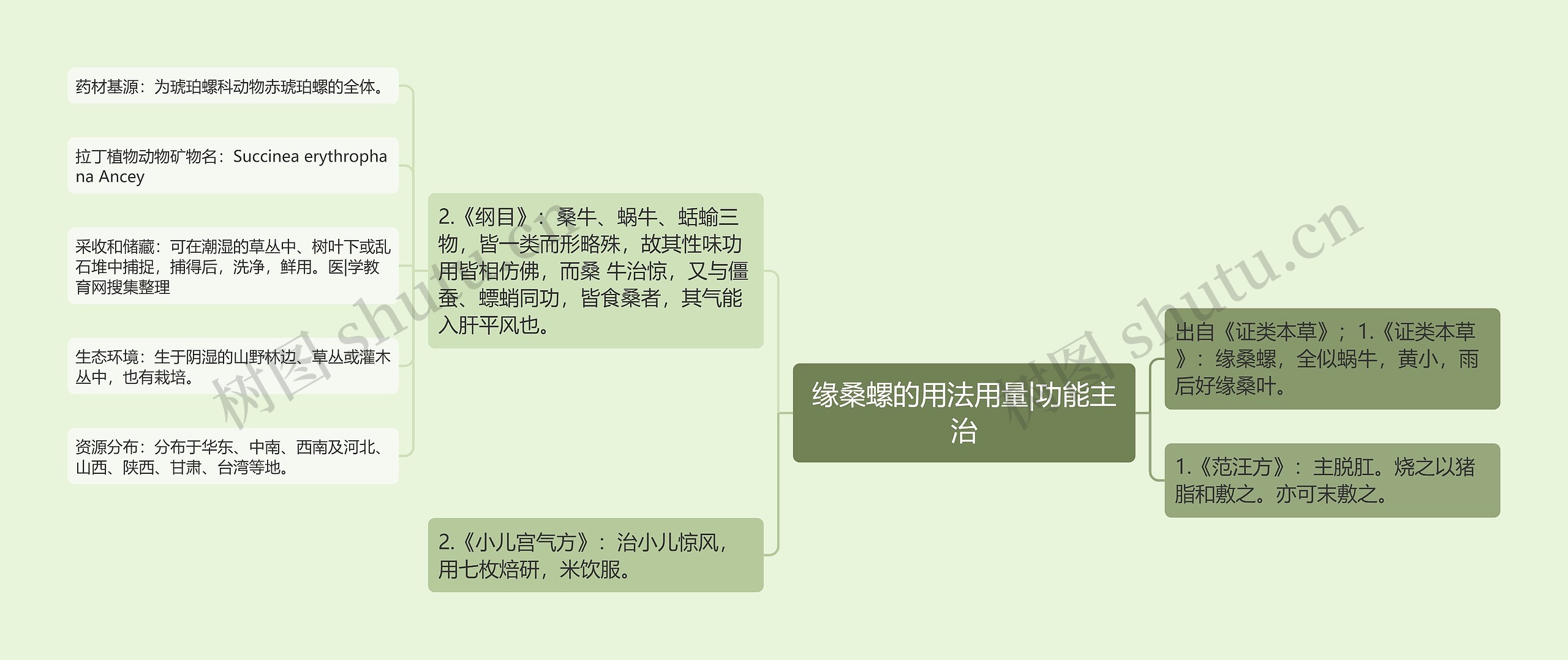 缘桑螺的用法用量|功能主治 缘桑螺的用法用量|功能主治