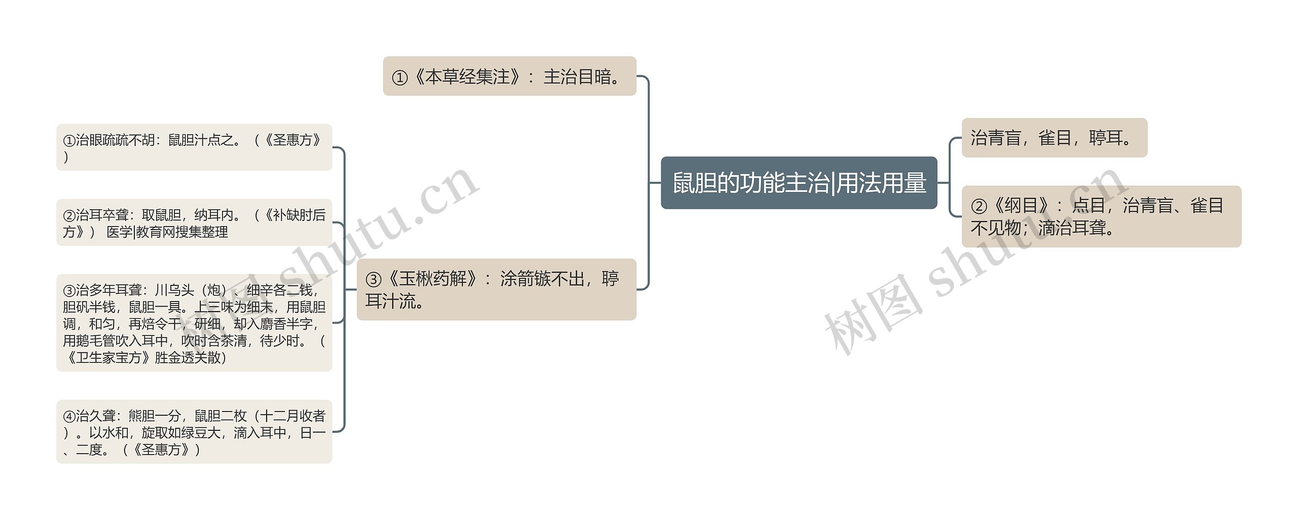 鼠胆的功能主治|用法用量