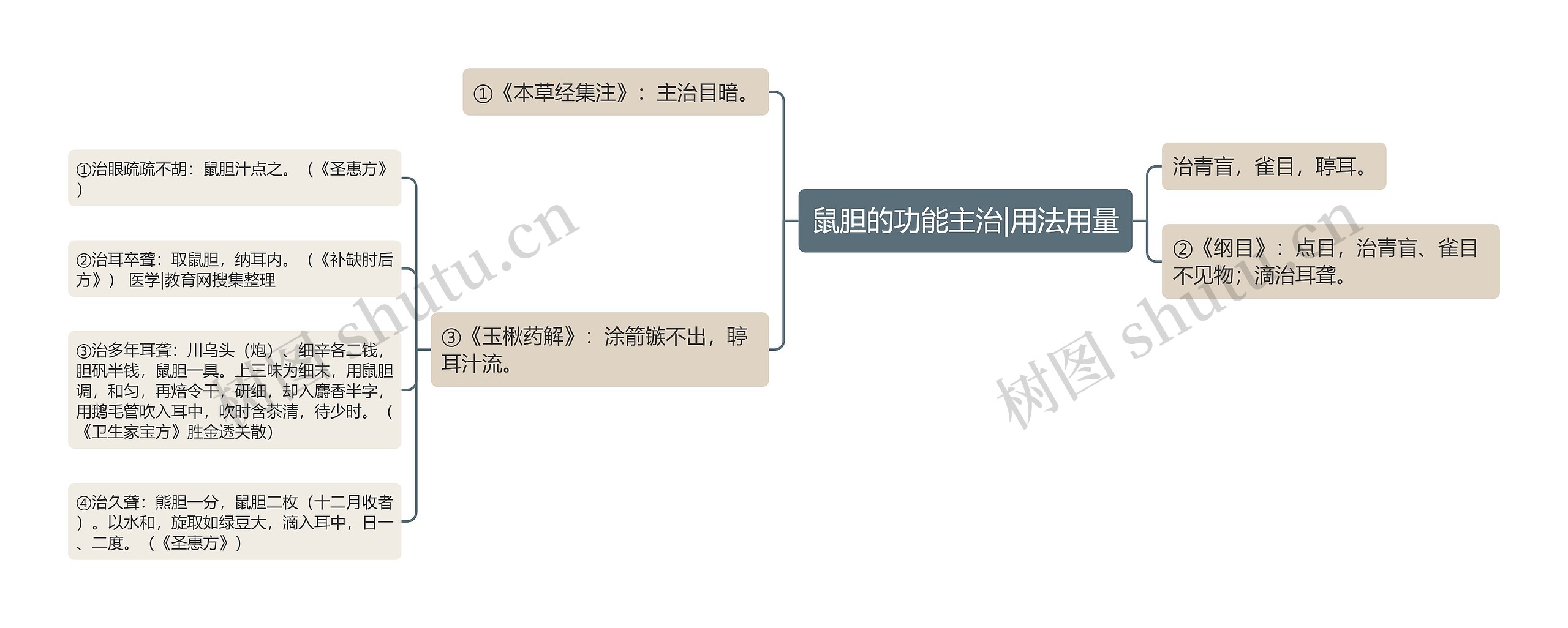 鼠胆的功能主治|用法用量思维导图