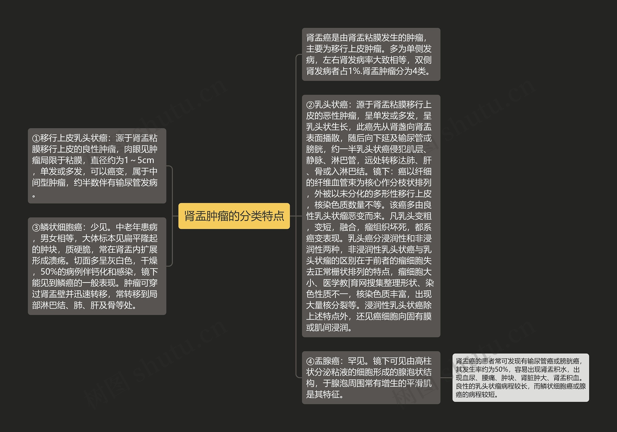 肾盂肿瘤的分类特点思维导图