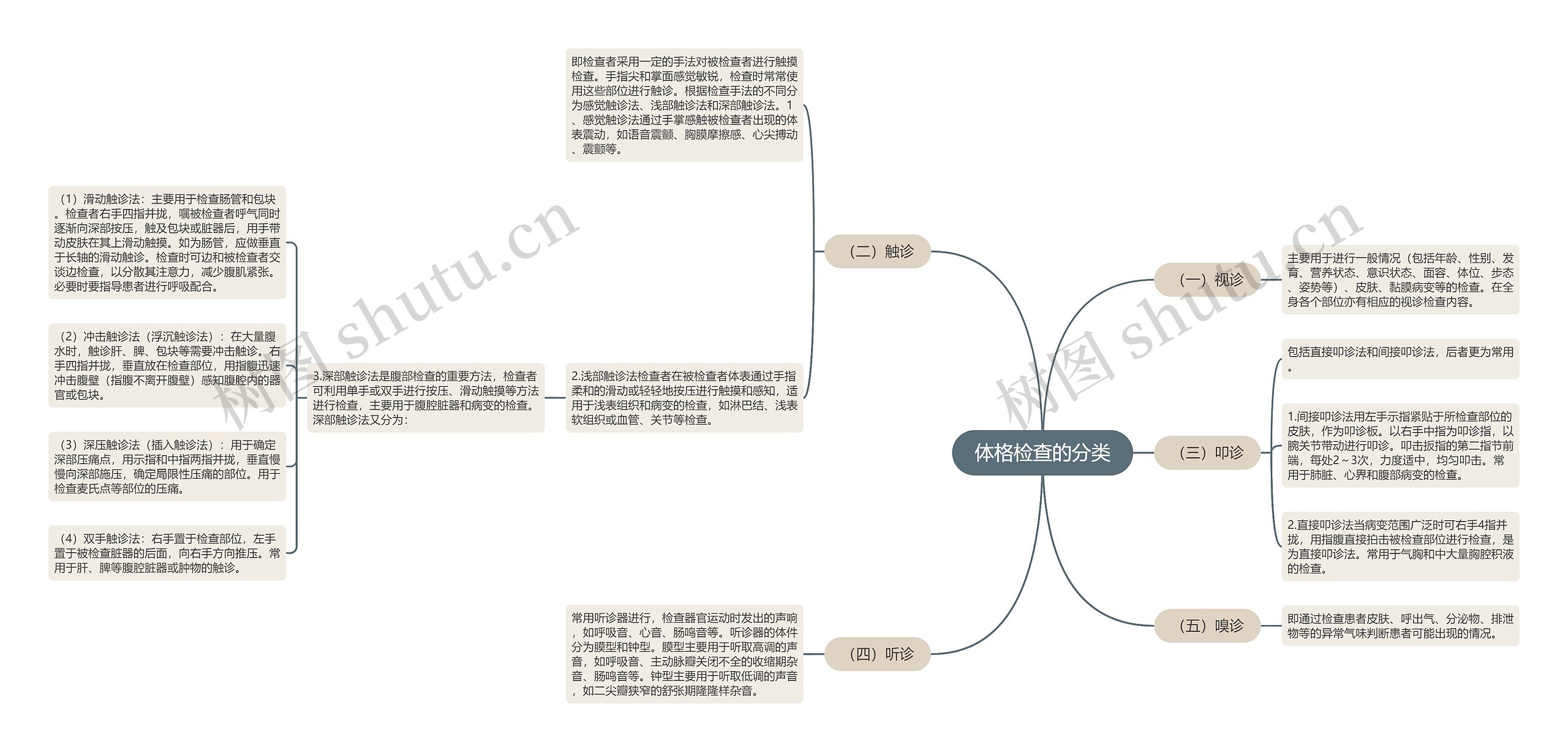 体格检查的分类思维导图