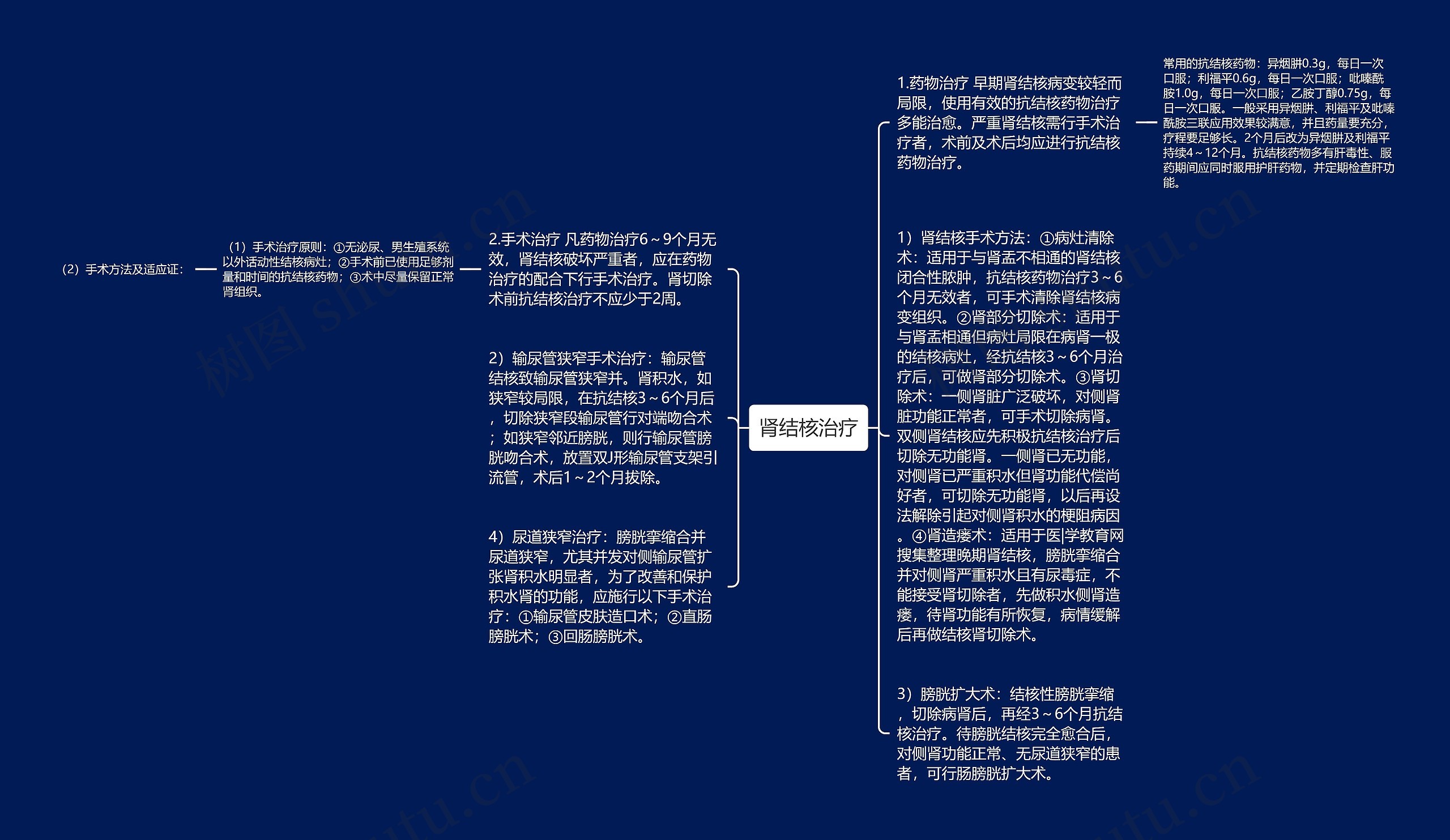 肾结核治疗思维导图