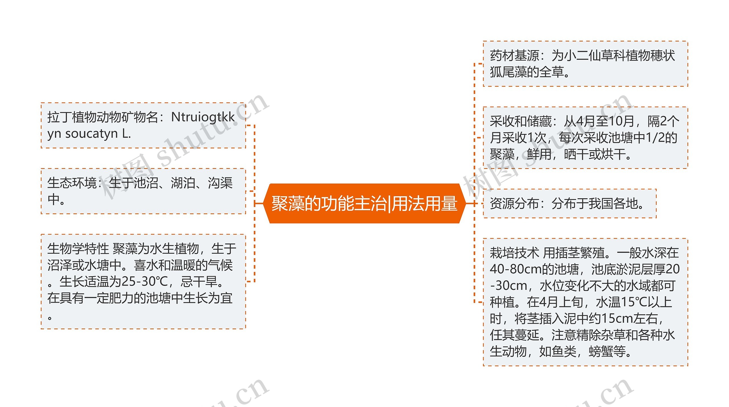 聚藻的功能主治|用法用量思维导图