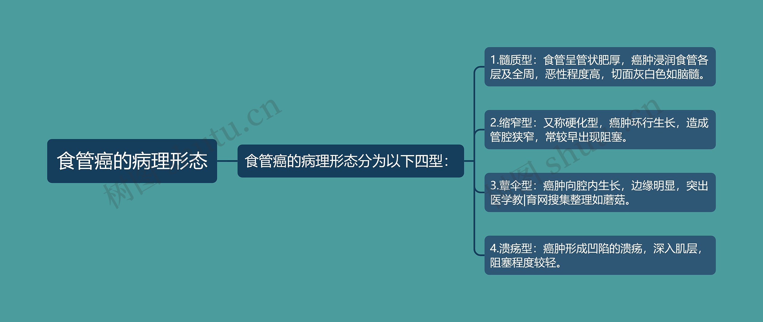 食管癌的病理形态思维导图