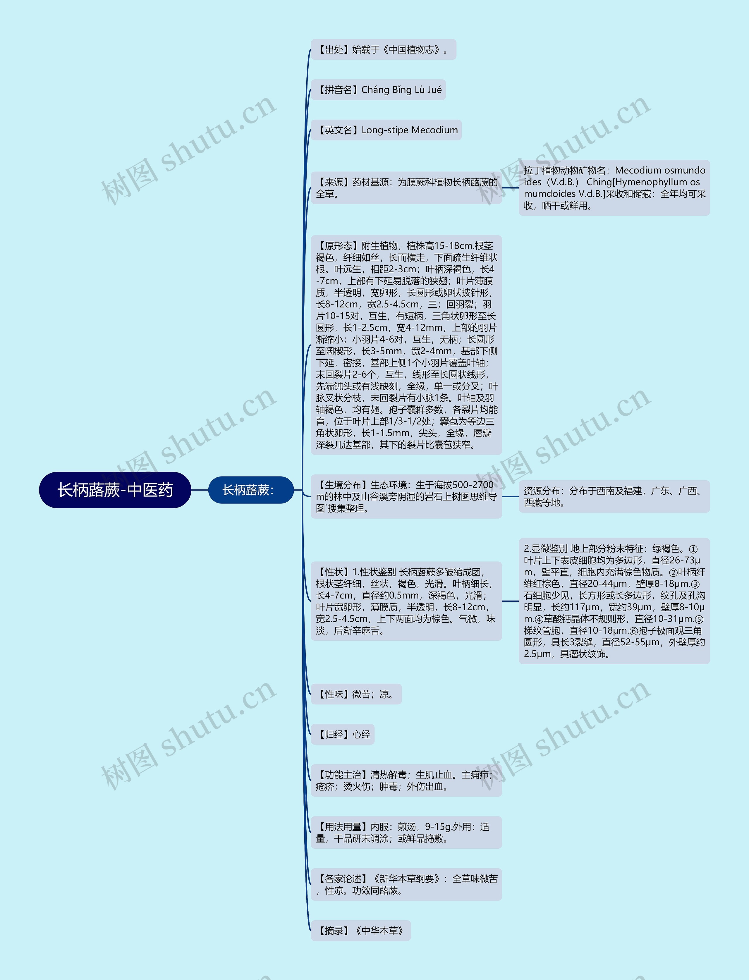 长柄蕗蕨-中医药思维导图