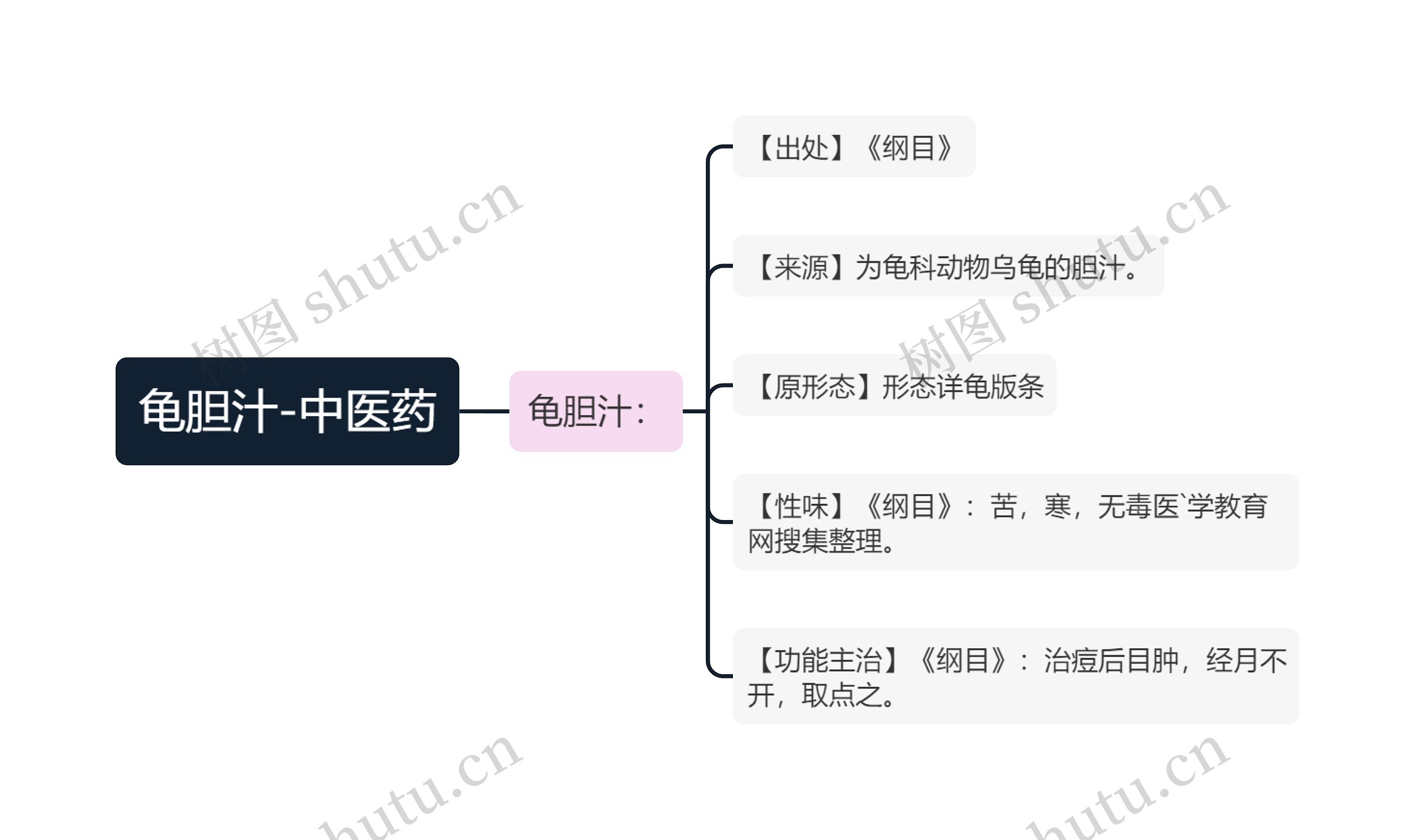 龟胆汁-中医药思维导图