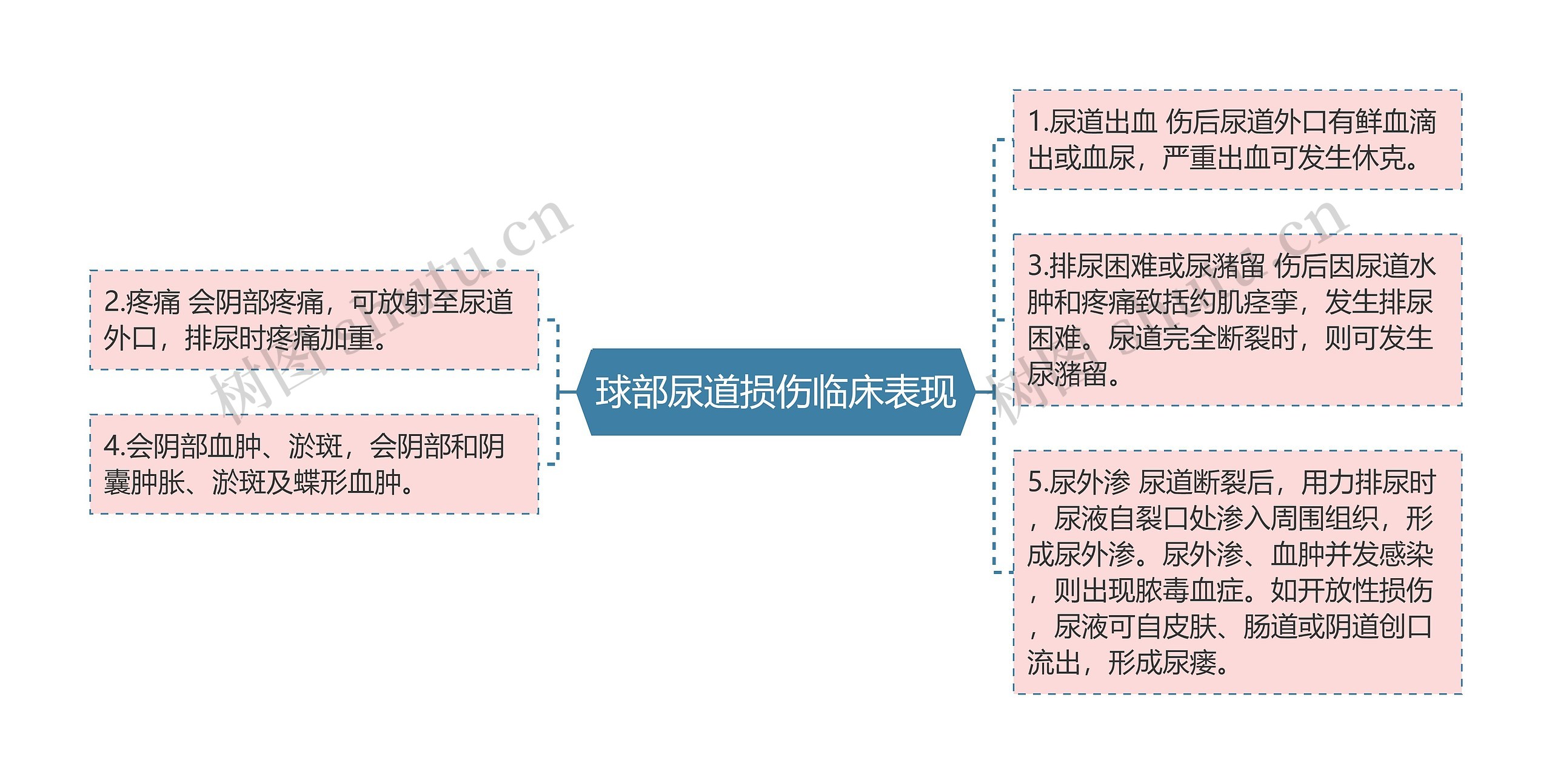 球部尿道损伤临床表现