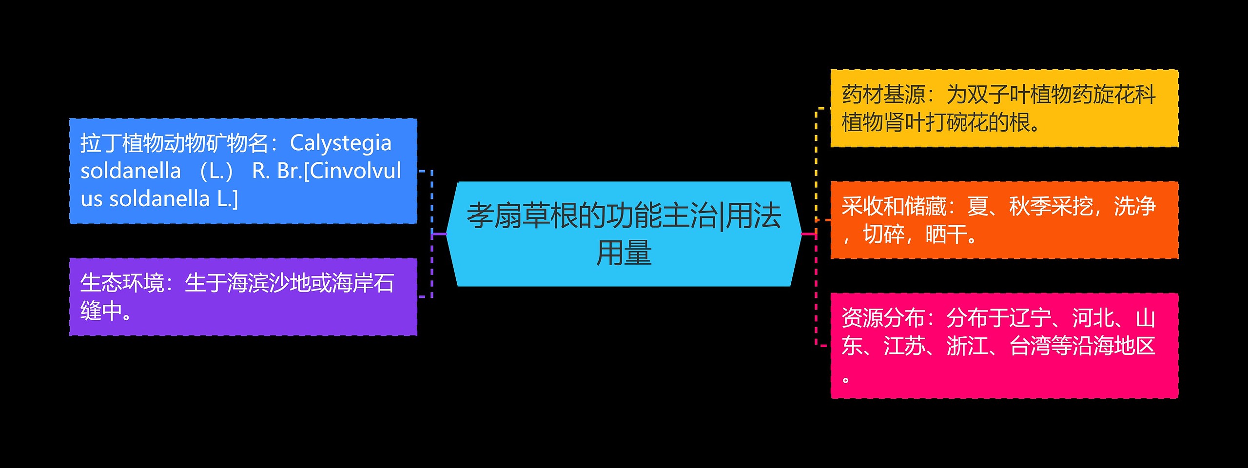 孝扇草根的功能主治|用法用量