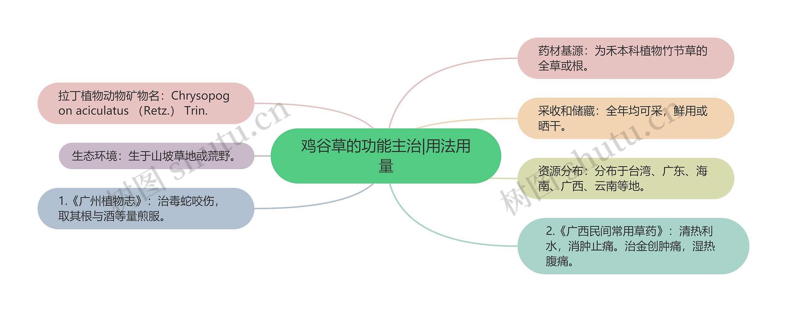 鸡谷草的功能主治|用法用量思维导图