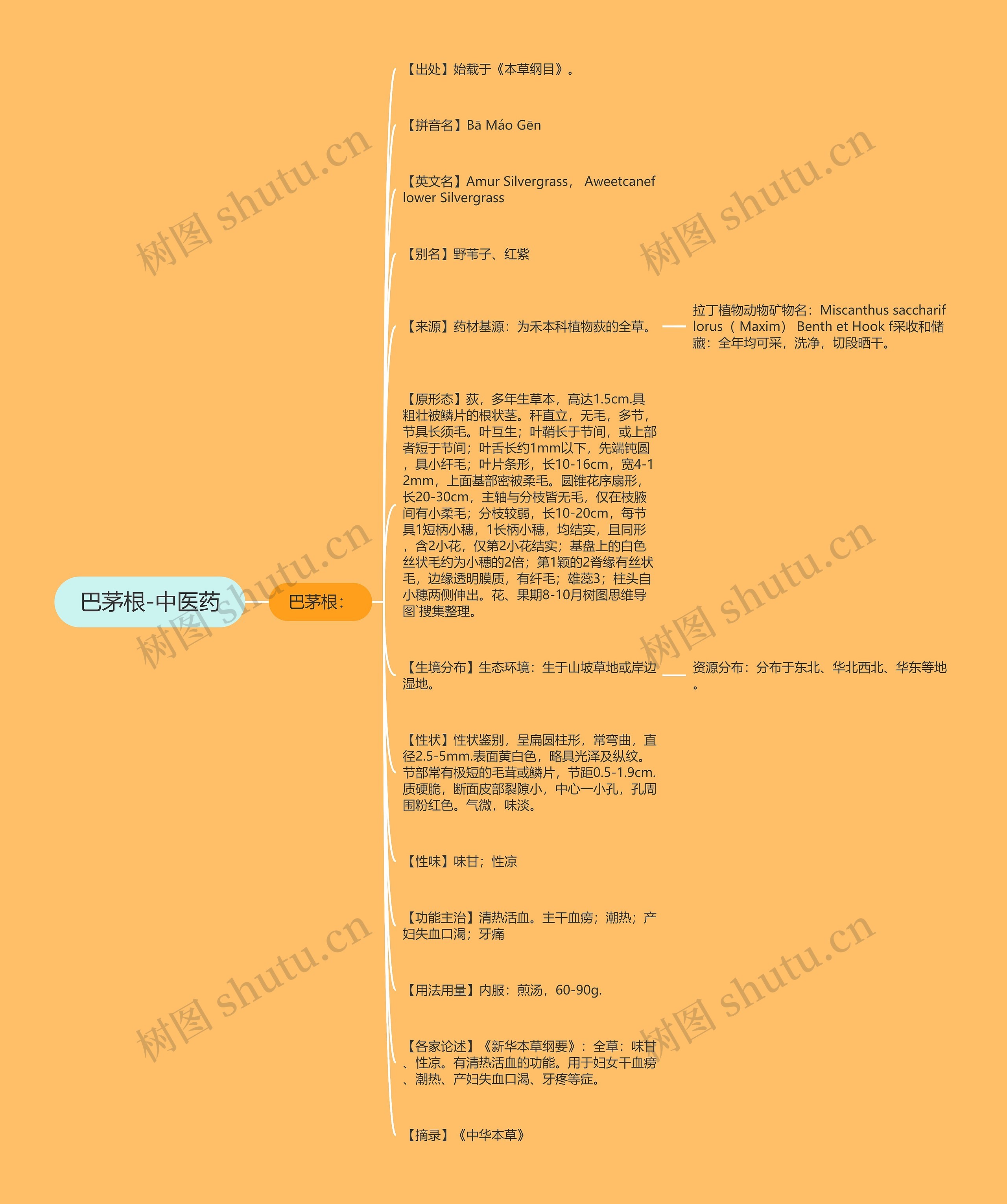 巴茅根-中医药思维导图