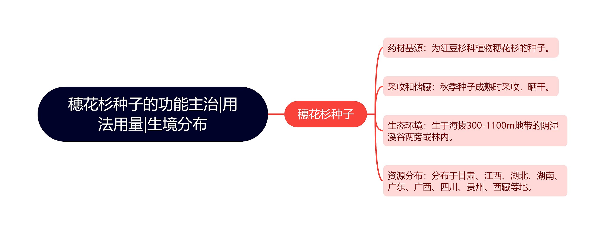 穗花杉种子的功能主治|用法用量|生境分布思维导图