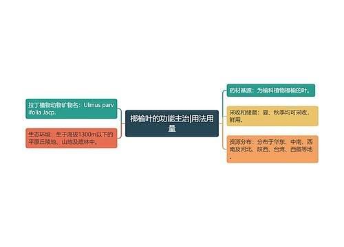榔榆叶的功能主治|用法用量