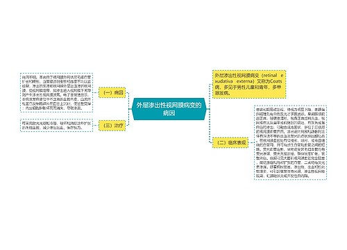 外层渗出性视网膜病变的病因