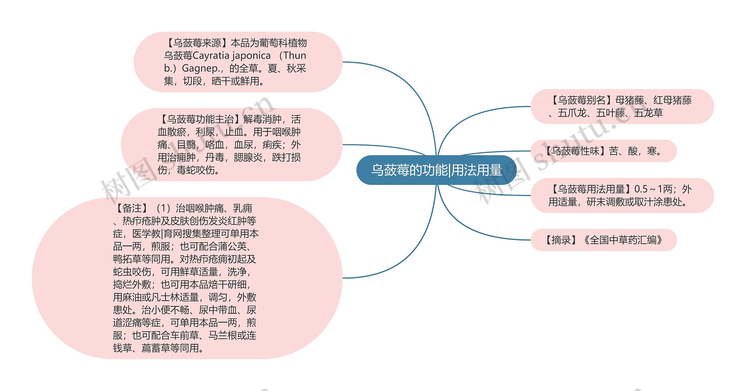 乌蔹莓的功能|用法用量