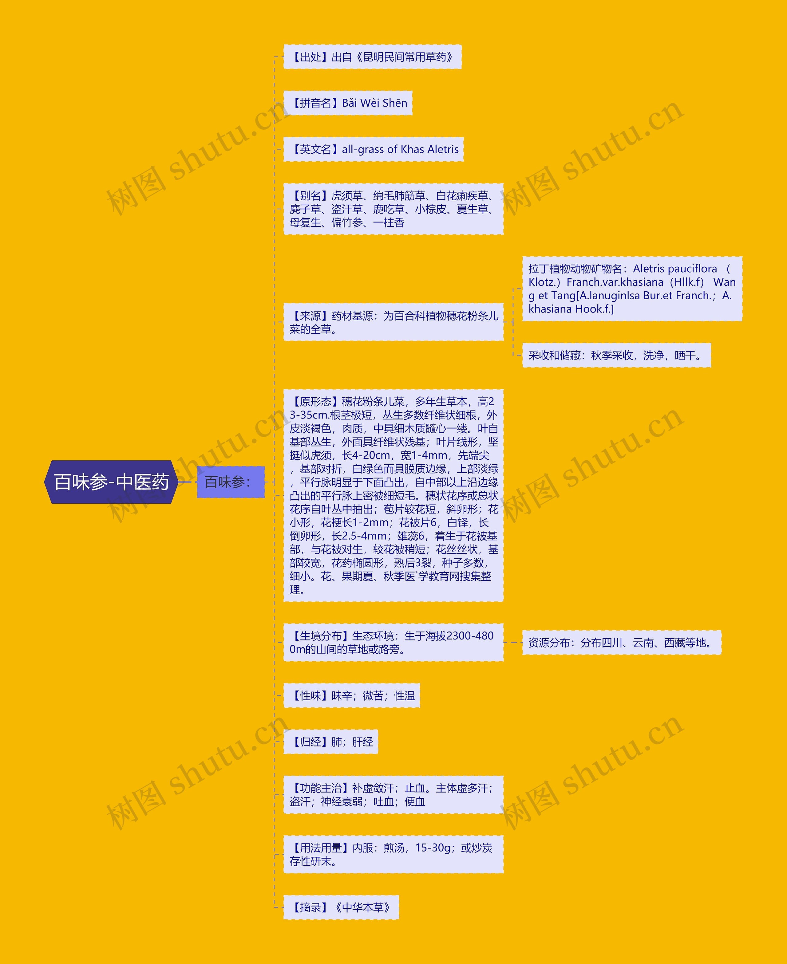 百味参-中医药思维导图
