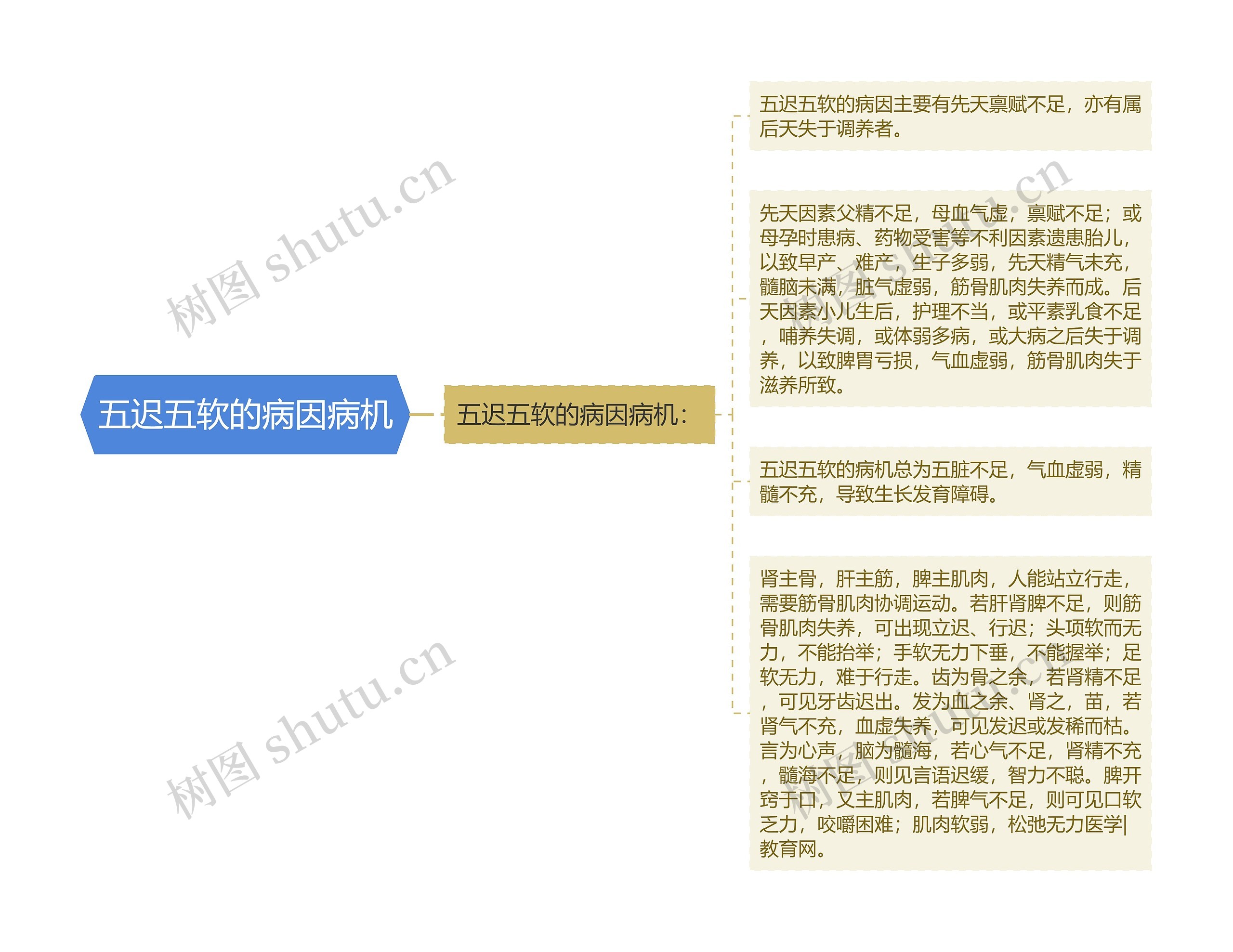 五迟五软的病因病机 五迟五软的病因病机