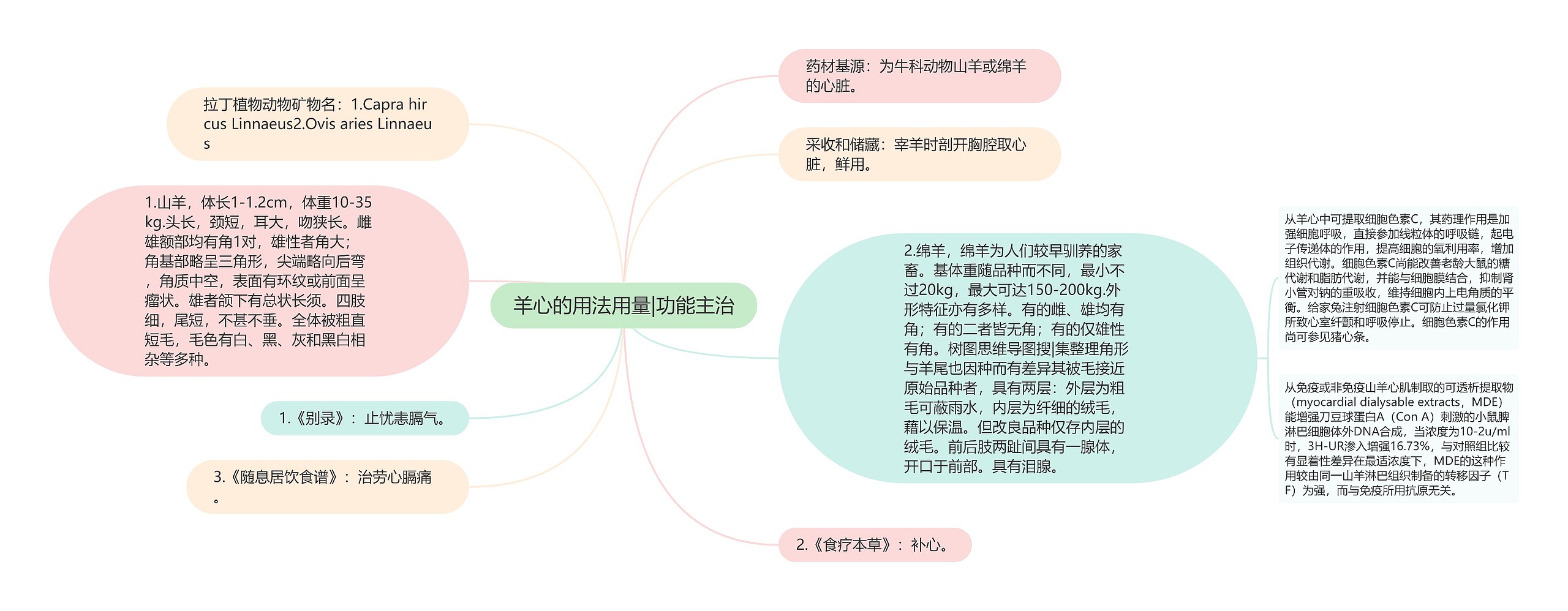 羊心的用法用量|功能主治