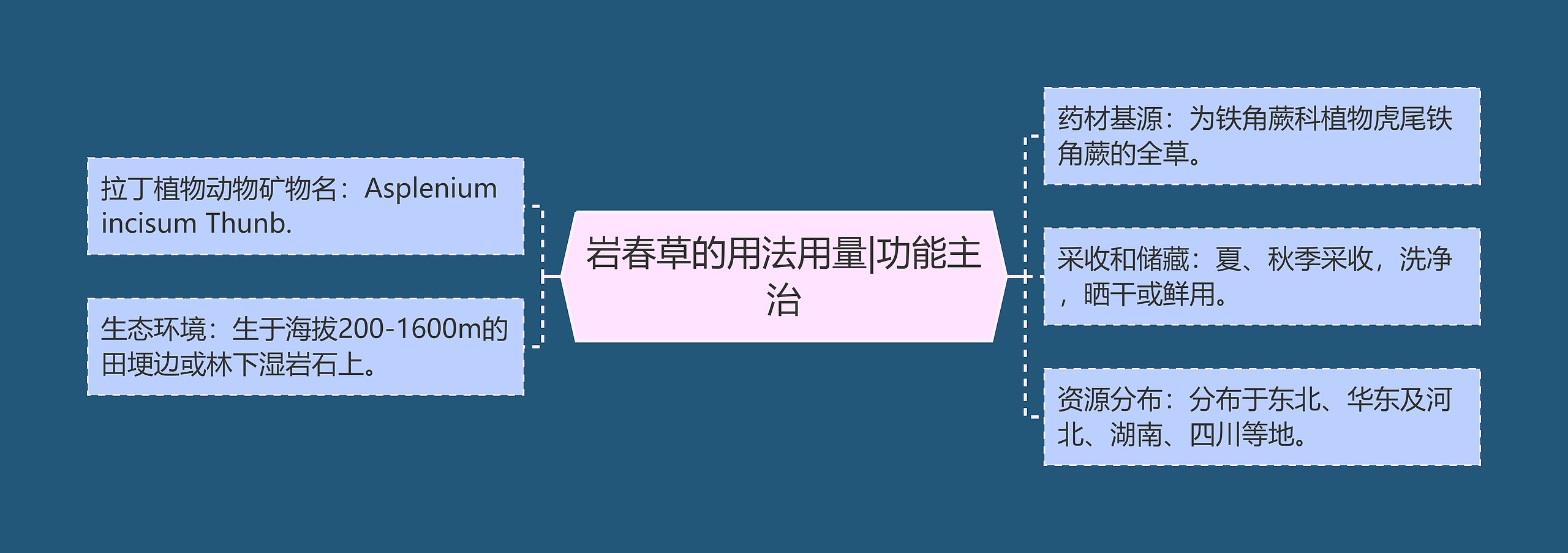 岩春草的用法用量|功能主治 岩春草的用法用量|功能主治