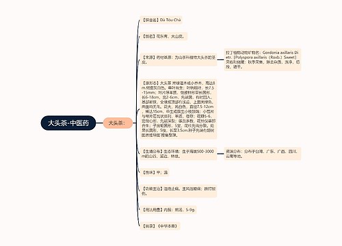 大头茶-中医药