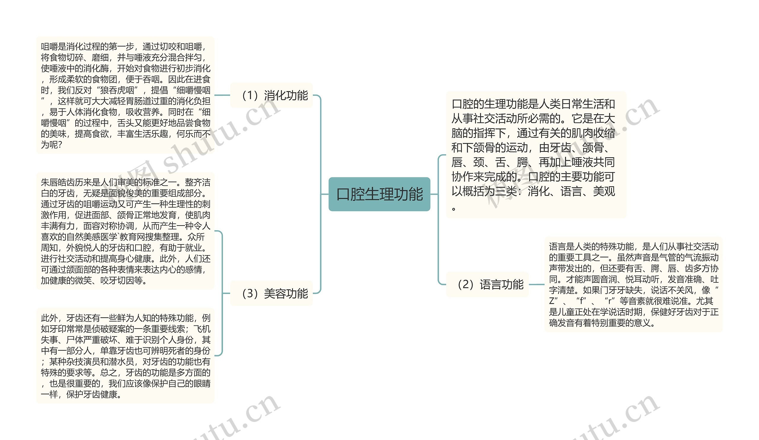 口腔生理功能思维导图