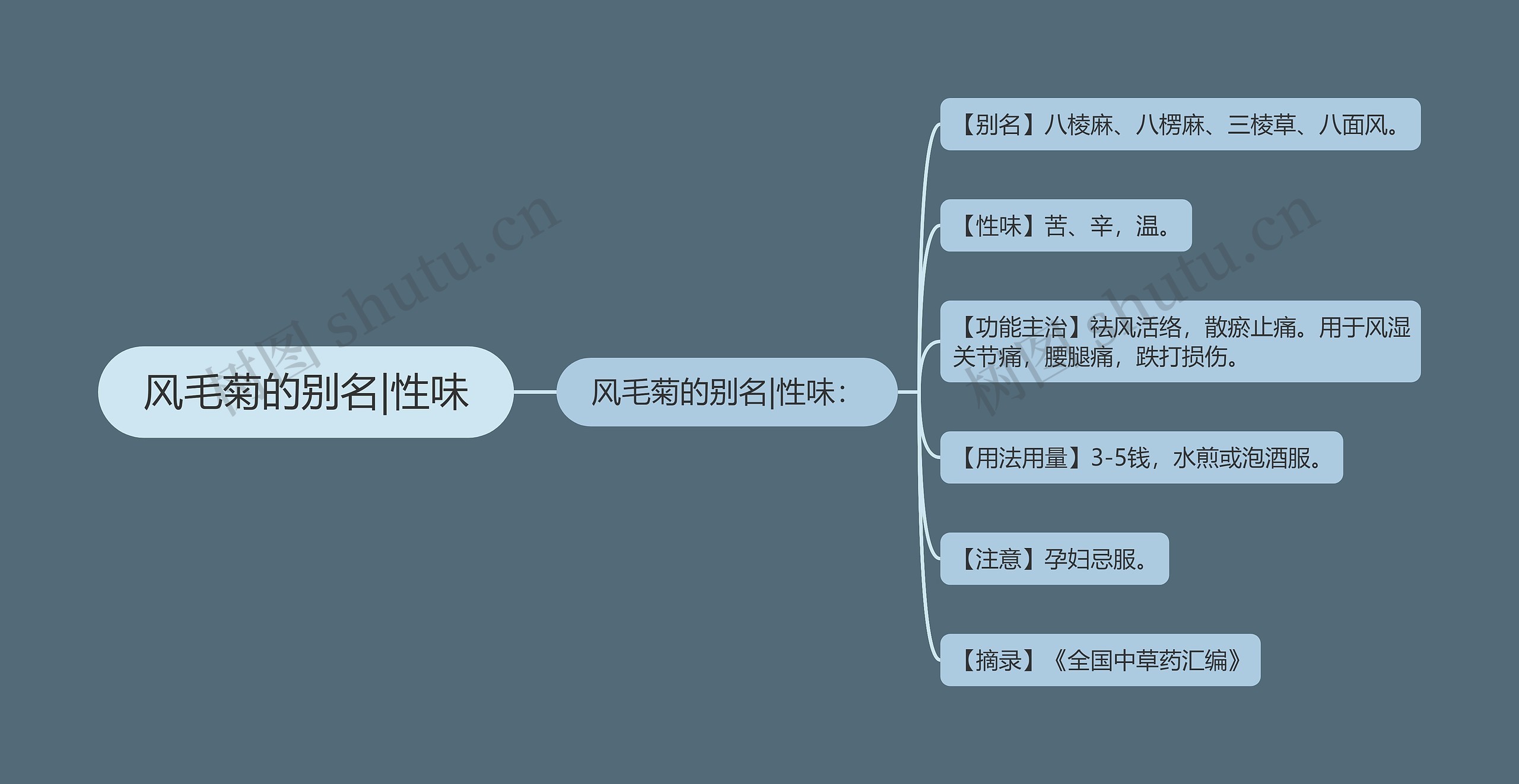 风毛菊的别名|性味思维导图高清图 风毛菊的别名|性味思维导图